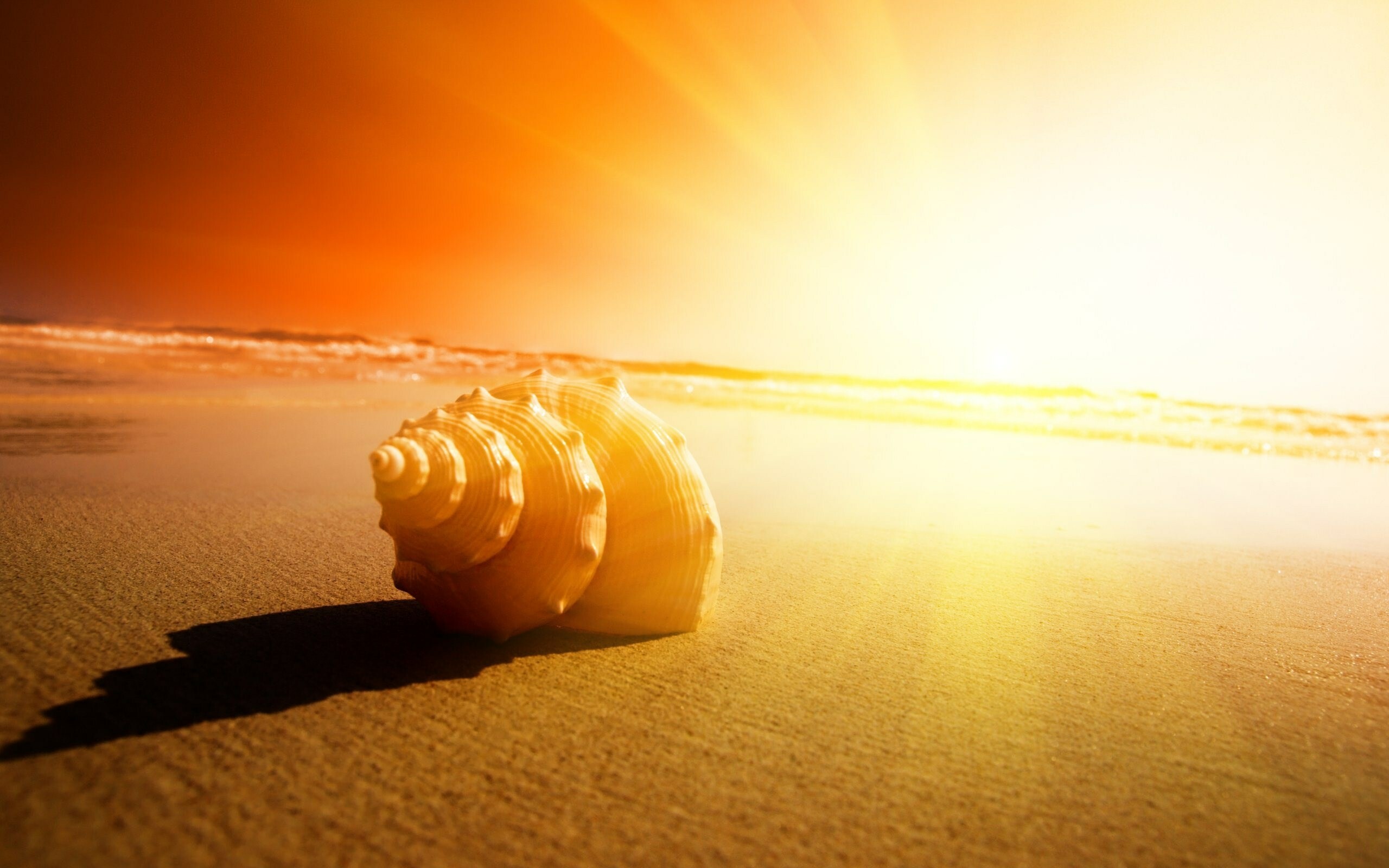 Sunlight, Sun Wallpaper, 2560x1600 HD Desktop