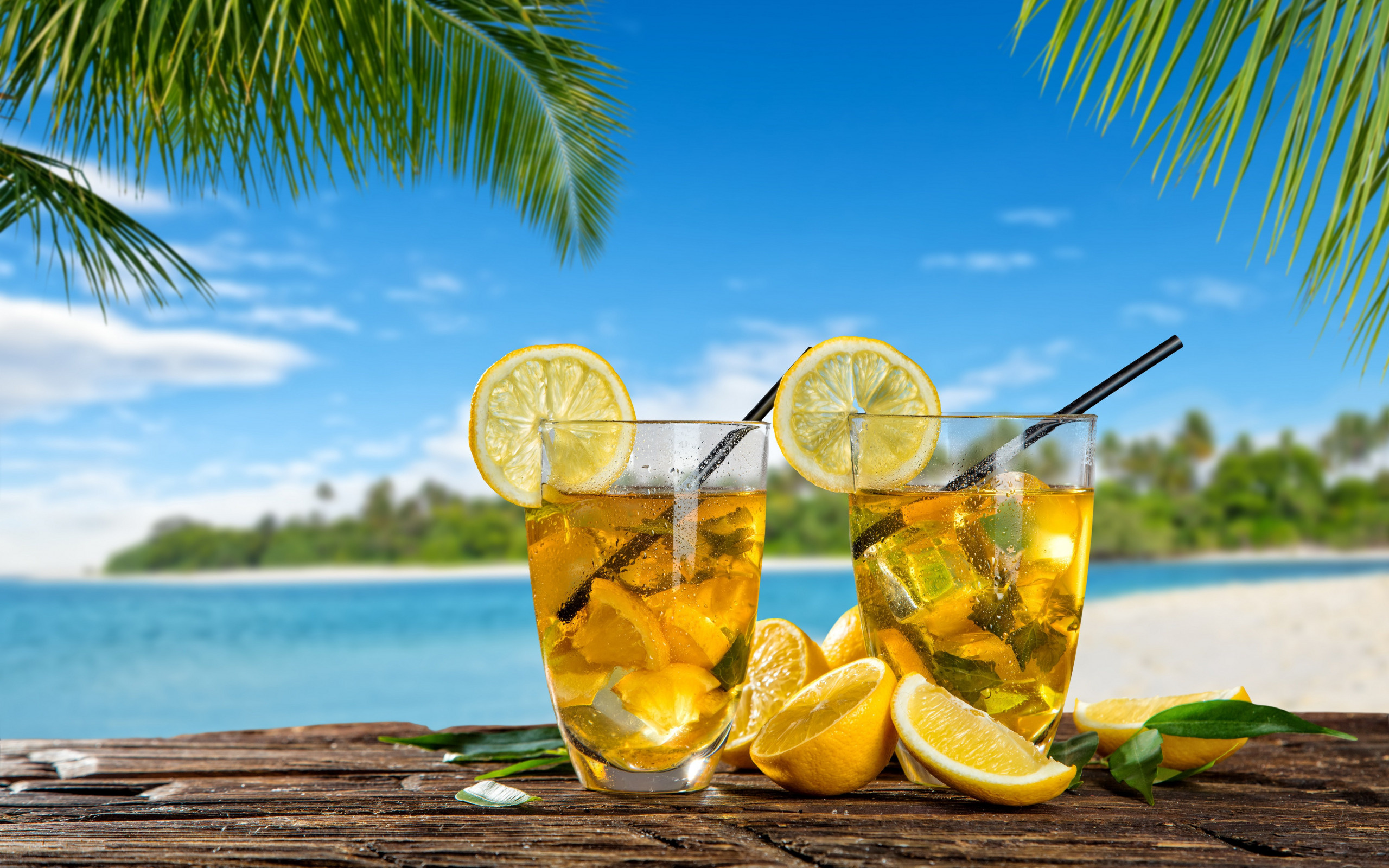 Tropical oasis indulgence, Summer vibes, Palm tree bliss, Lemonade by the sea, 2560x1600 HD Desktop