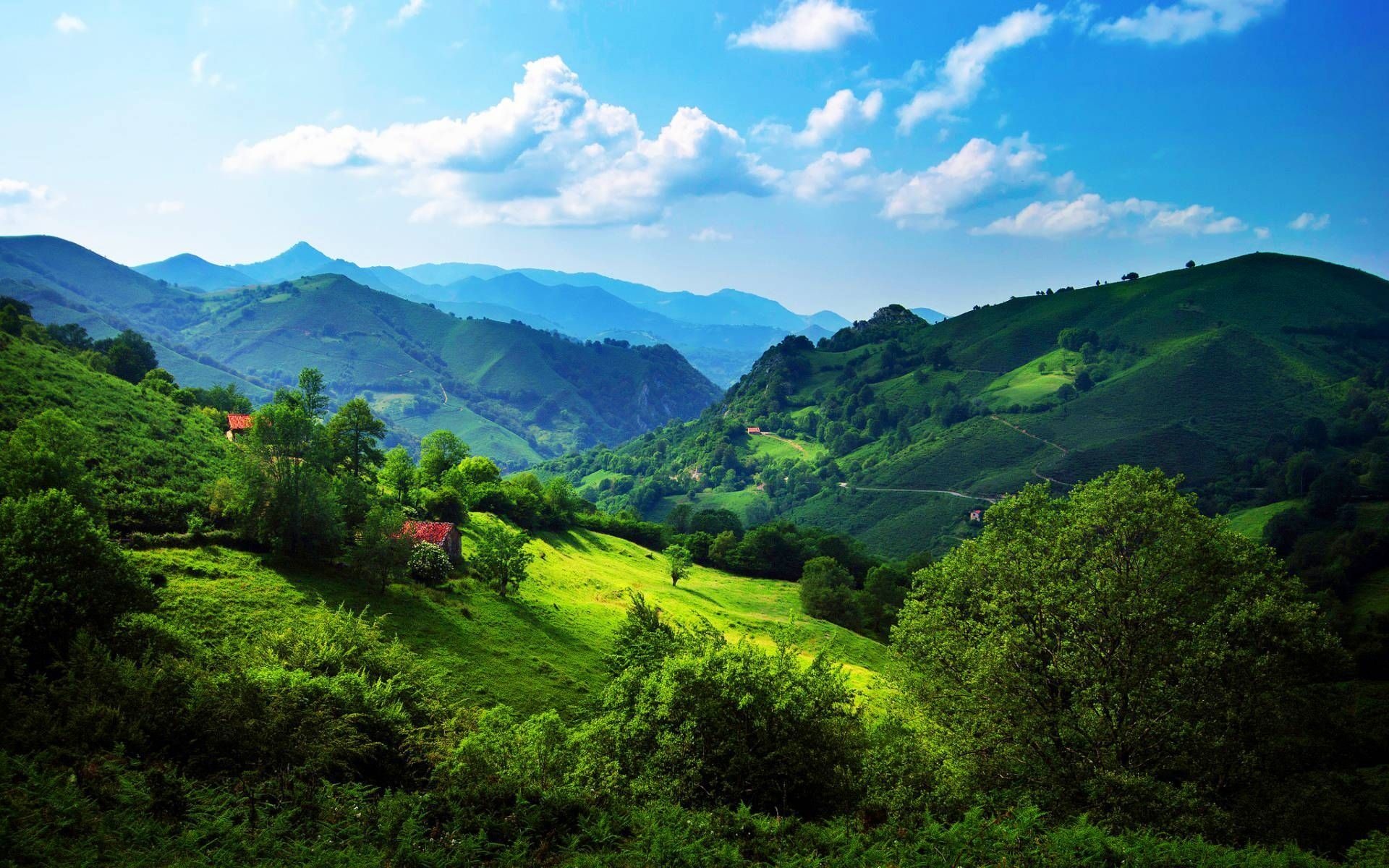 Emerald hills, Natural splendor, Peaceful scenery, Captivating vistas, 1920x1200 HD Desktop