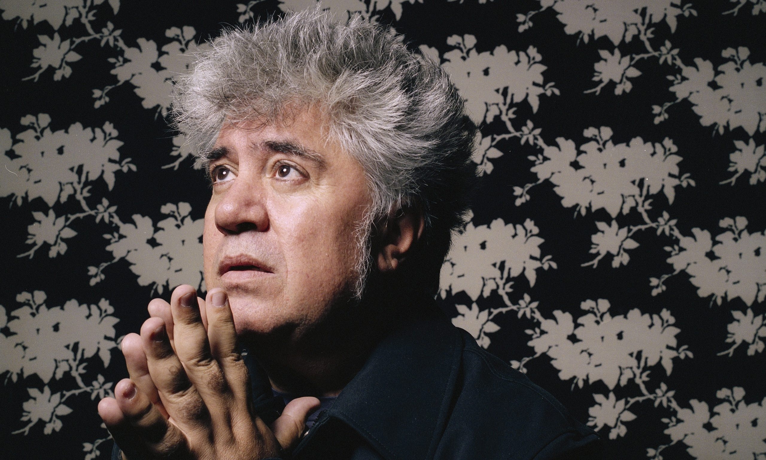 Pedro Almodovar, Linked to Panama papers, 2560x1540 HD Desktop