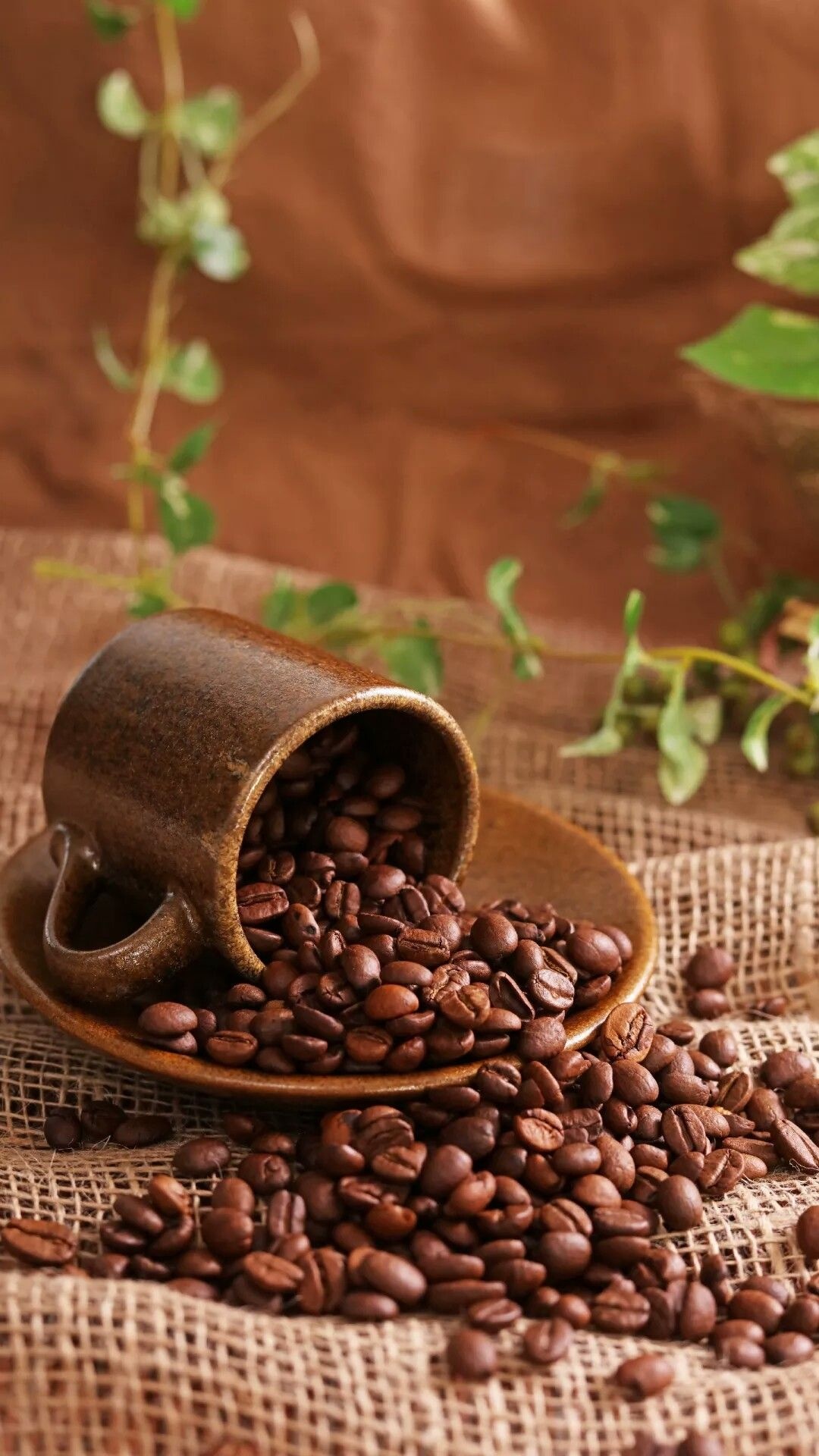 Irina sre coffee, Beans photography coffee, Coffee, Photography, 1080x1920 Full HD Phone