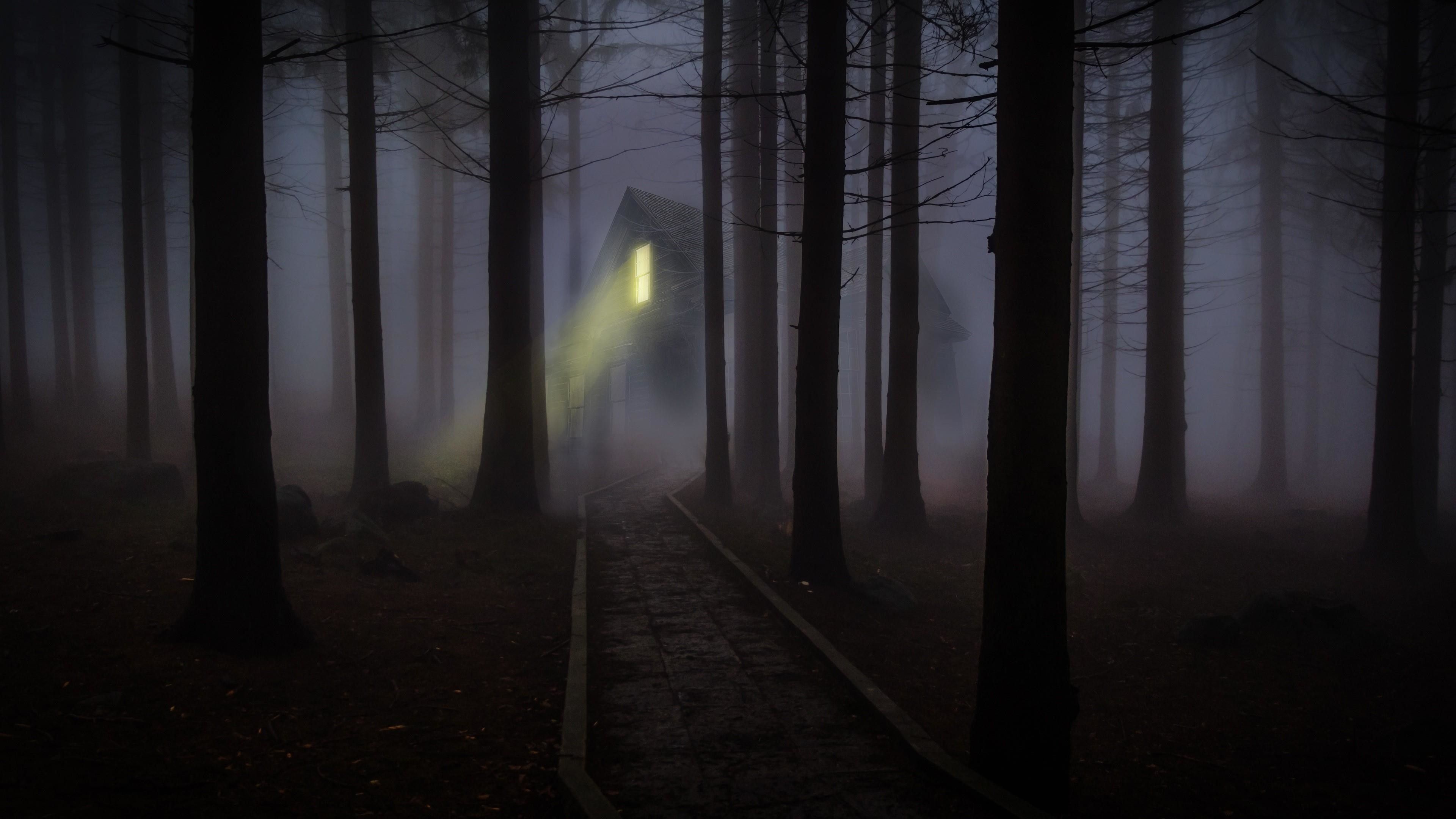 illuminated forest cabin, paved stone footpath, dark misty pine forest, 4K Desktop wallpaper