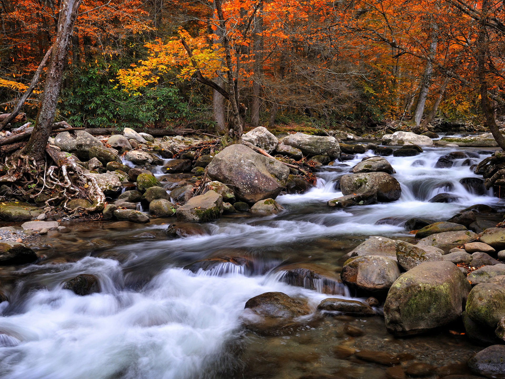 Great Smoky Mountains, National Park, Beautiful scenery, Desktop wallpaper, 1920x1440 HD Desktop