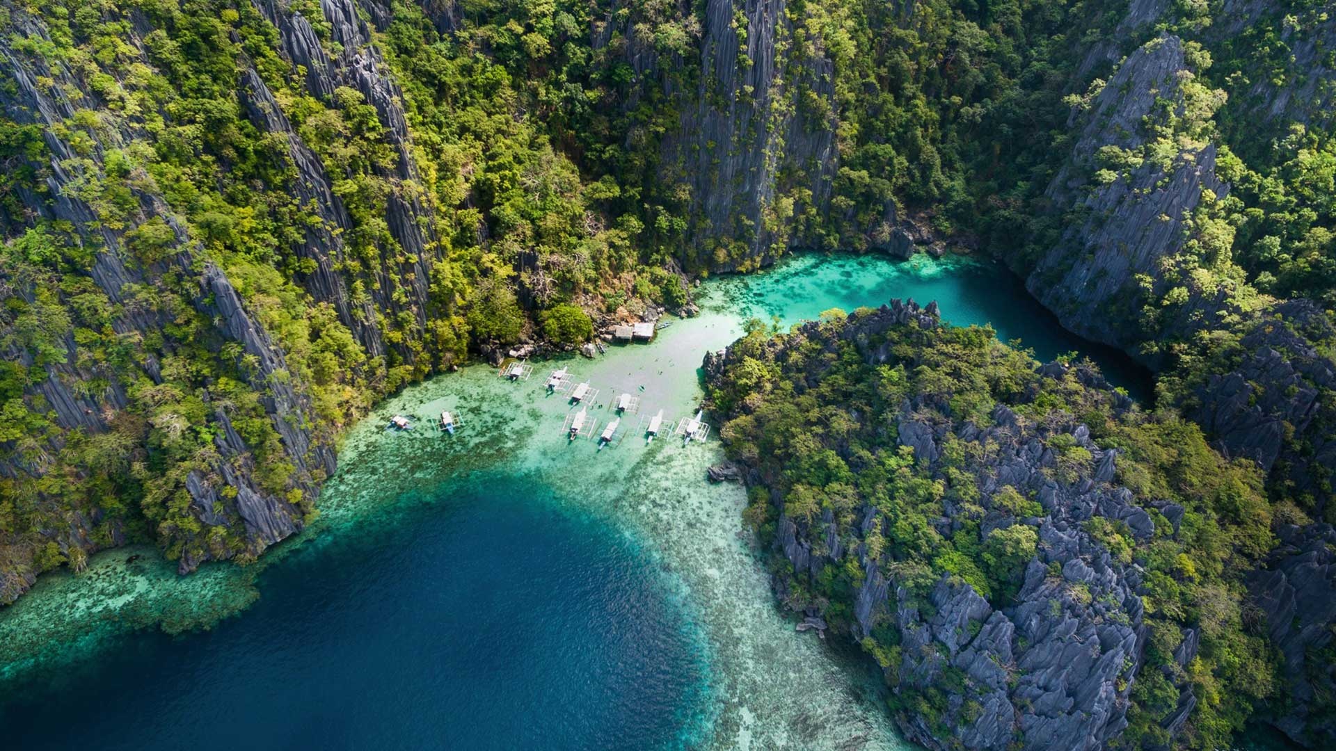 Palawan beaches, Pristine beauty, Exotic wildlife, Hidden gems, 1920x1080 Full HD Desktop