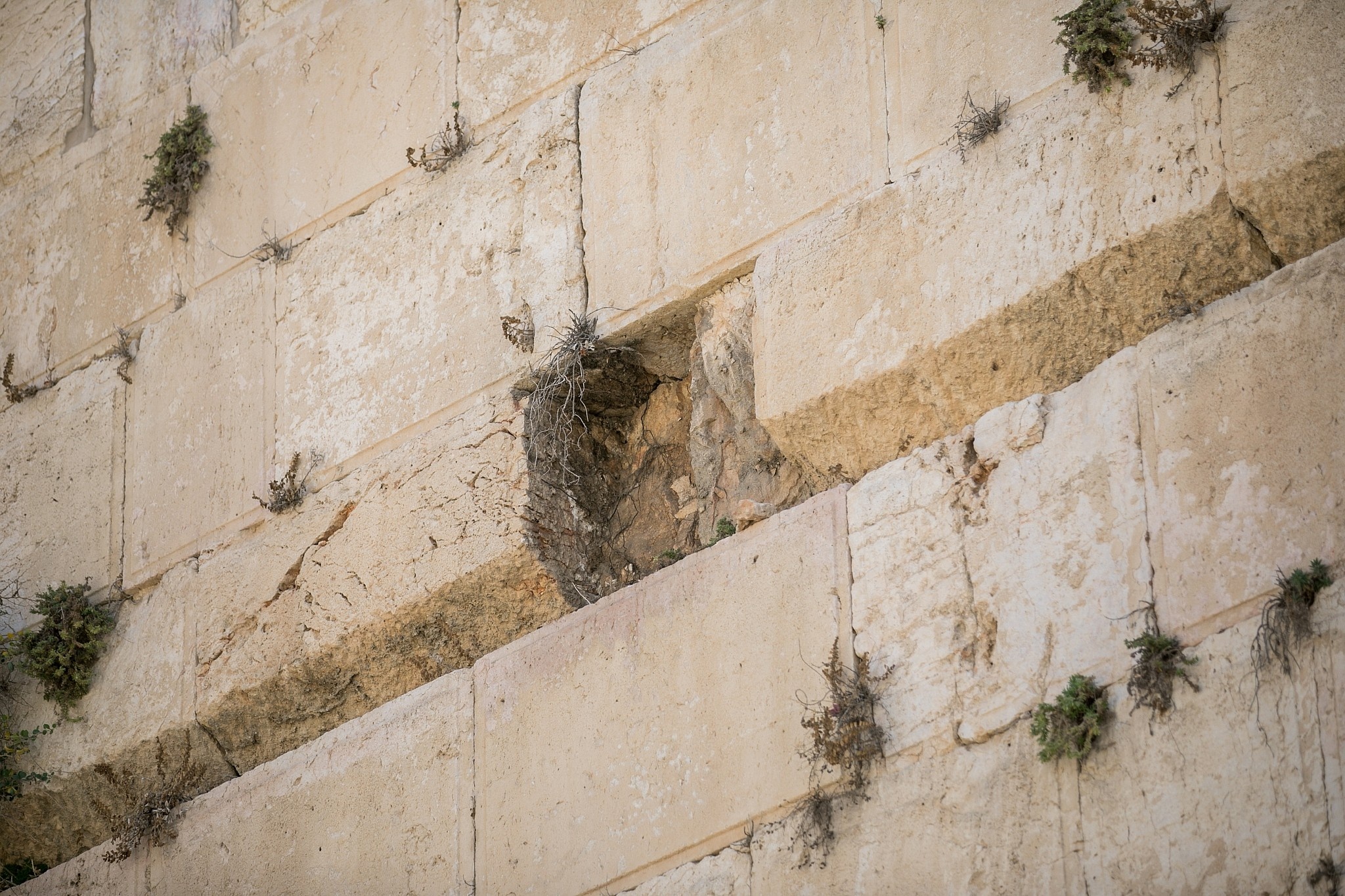 Western Wall, Danger zone, Public warning, The Times of Israel, 2050x1370 HD Desktop