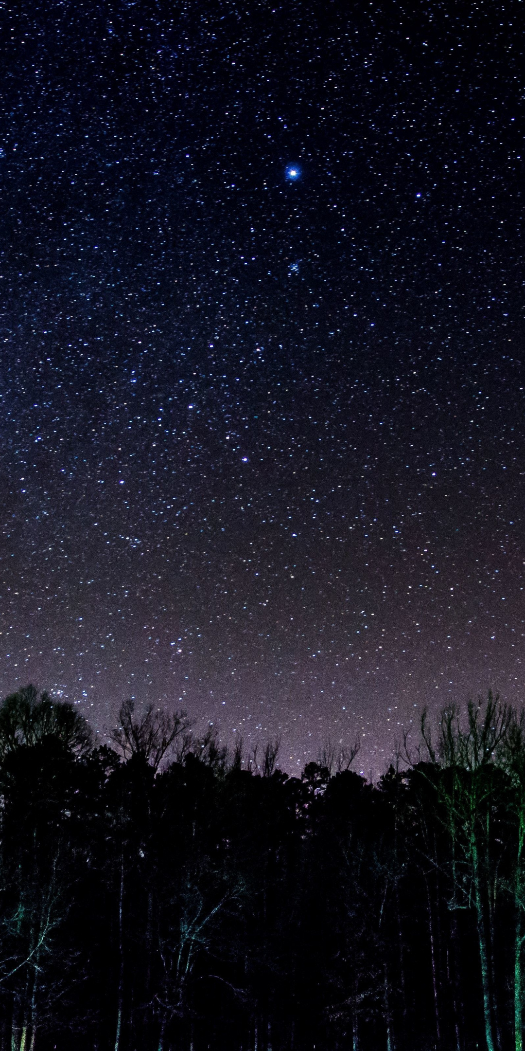 dense starry night sky, silhouetted forest treeline, bright glowing celestial star, HD Phone wallpaper