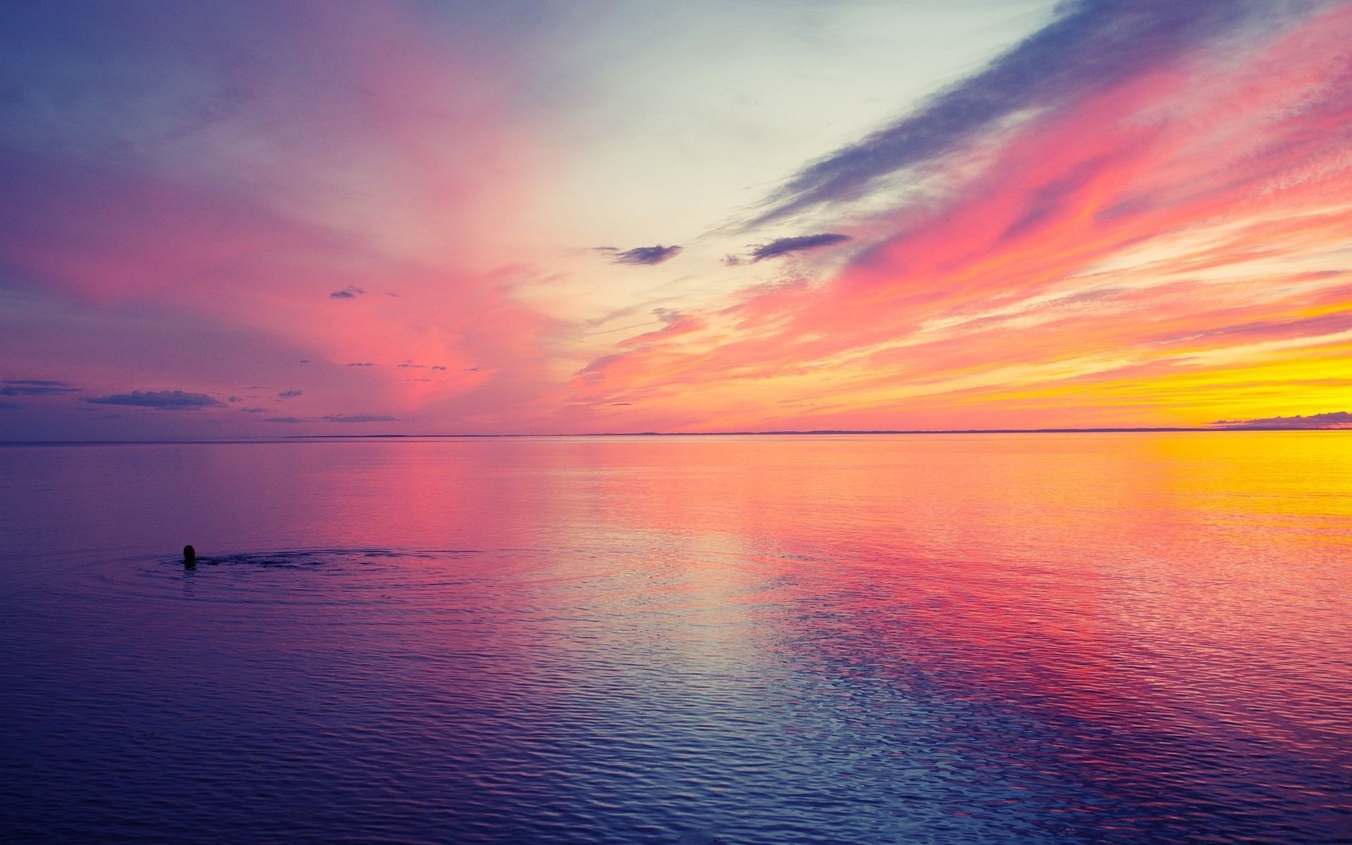 lone swimmer in water, vibrant pink dusk sky, calm ocean sunset reflection, HD Desktop wallpaper