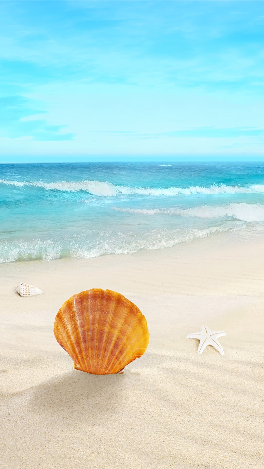 orange scallop shell, white starfish, turquoise ocean waves, Full HD Phone wallpaper
