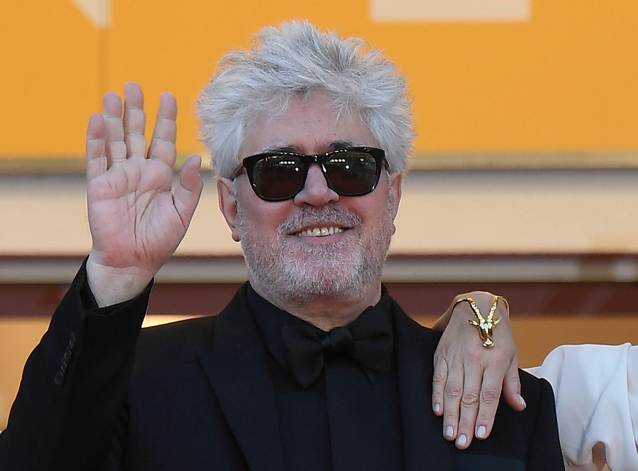 Pedro Almodovar, Panama papers, Against tax havens, 2100x1550 HD Desktop