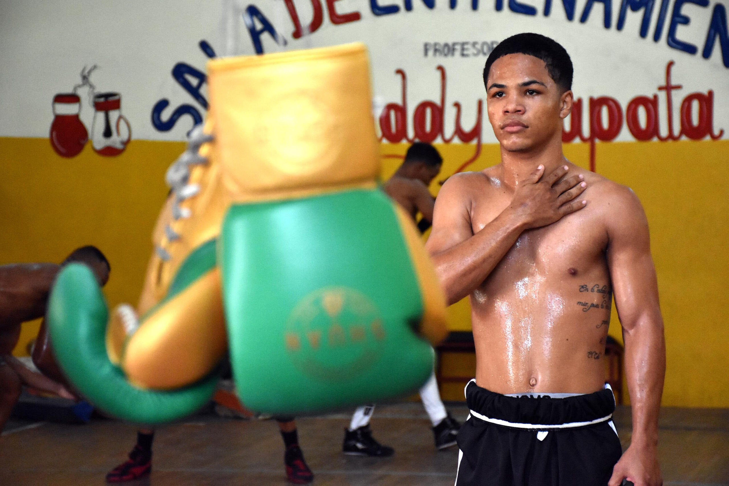 Erick Rosa, Boxer, Wilfredo Mendez, Minipacman, 2560x1710 HD Desktop