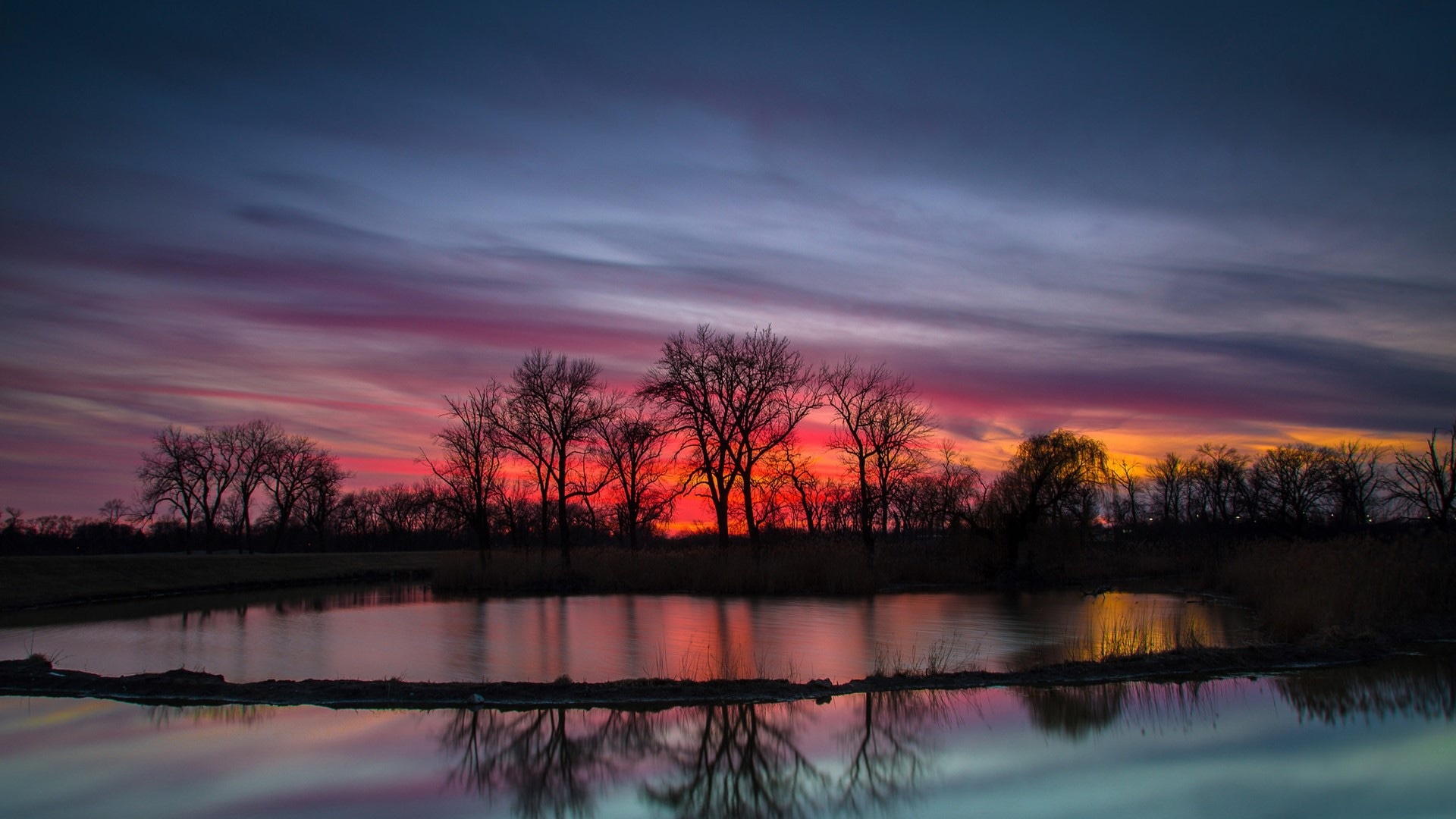 silhouetted bare trees, reflective pond water, vibrant magenta twilight sky, Full HD Desktop wallpaper