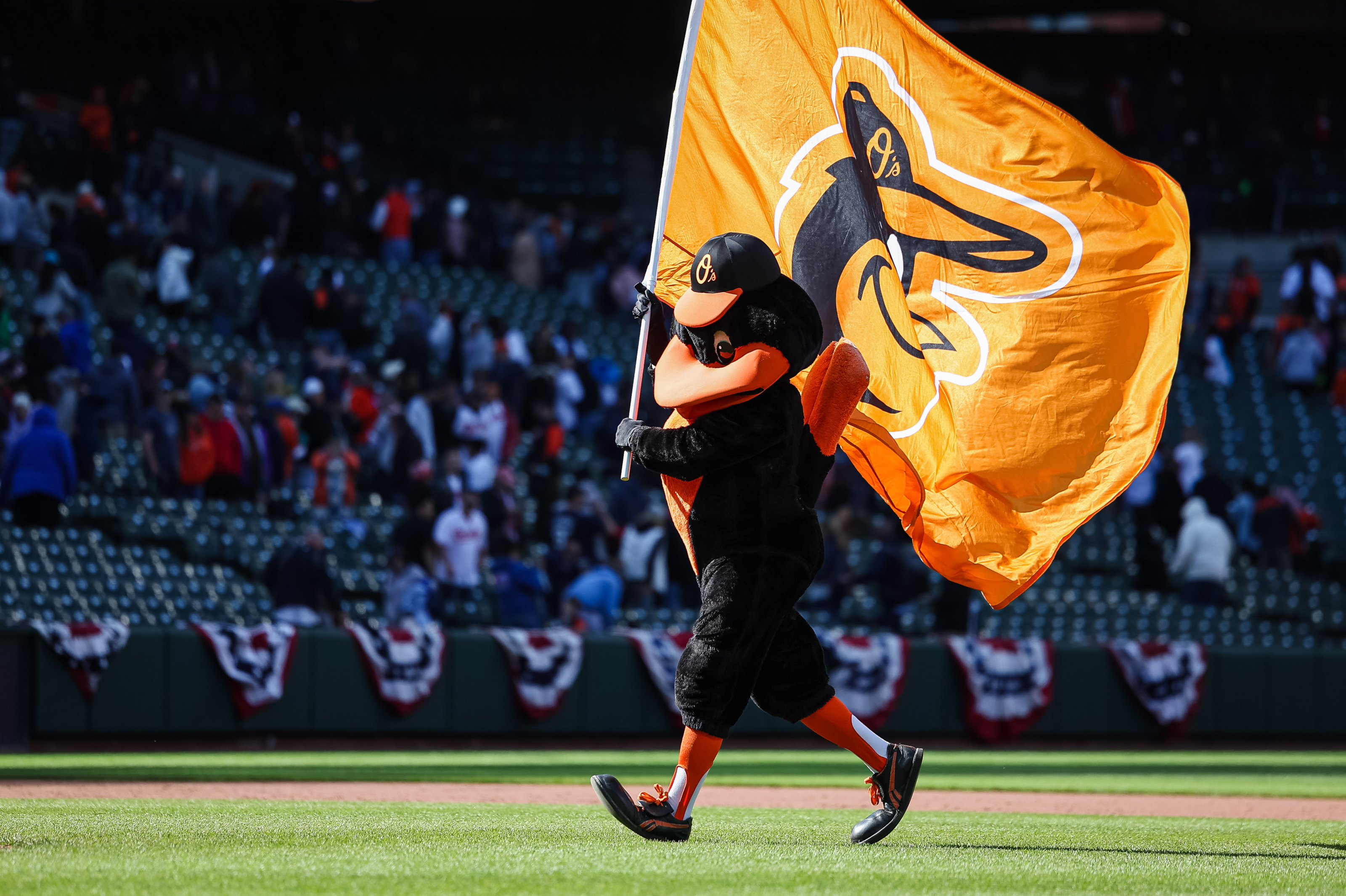 Baltimore Orioles, AL wild card, Claim spot, 3200x2140 HD Desktop