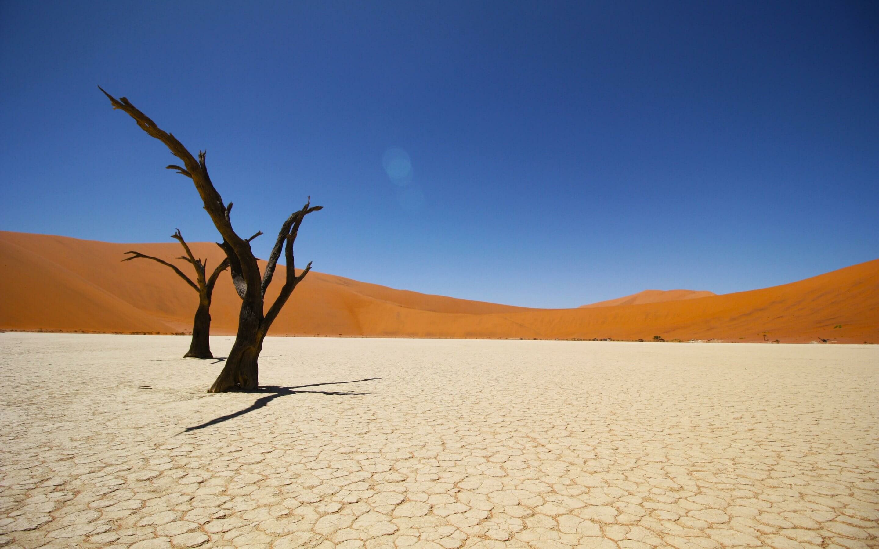 Namib Coastal Desert, Endless dunes, Coastal beauty, Nature's masterpiece, 2880x1800 HD Desktop