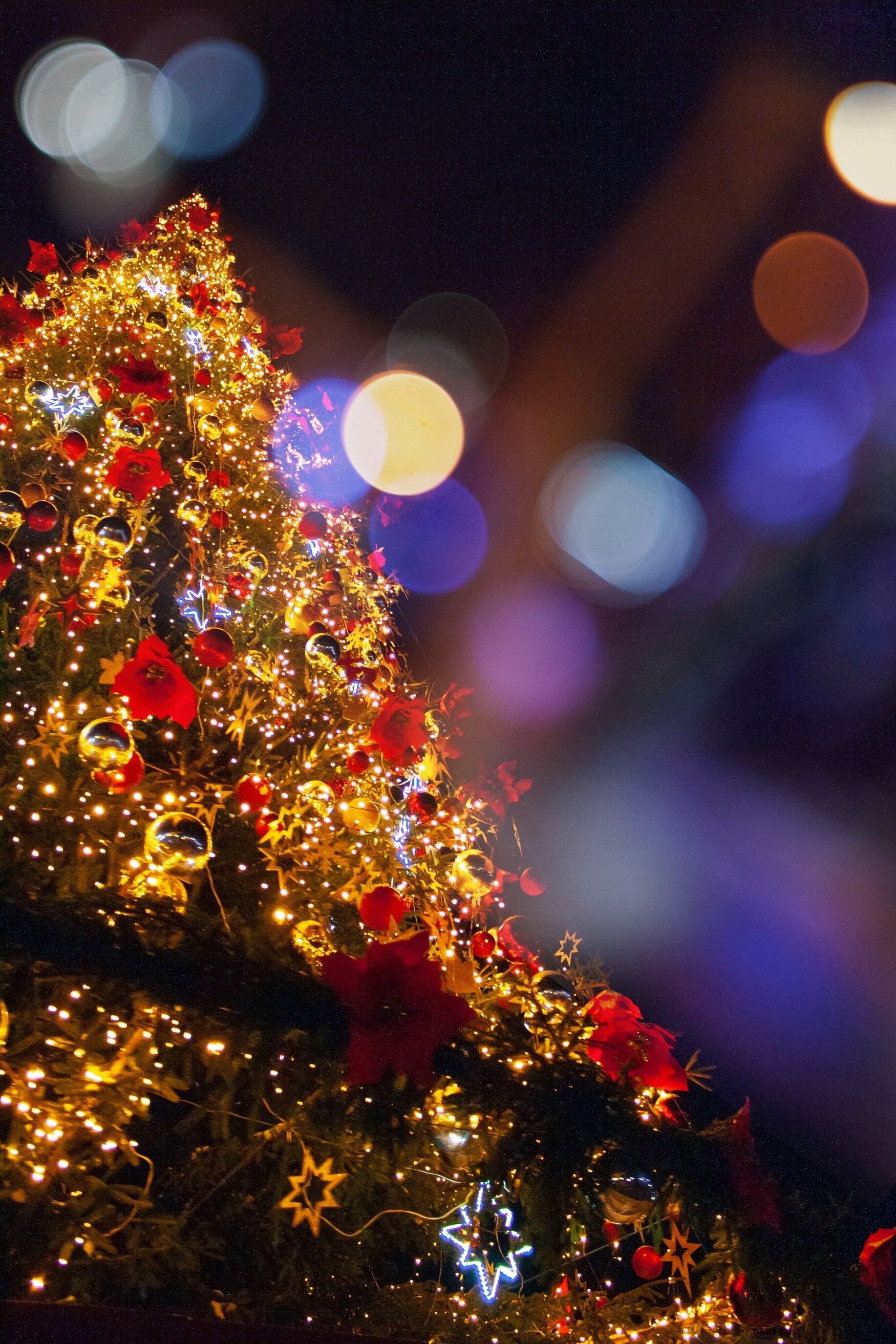 Start the season parade, Festive lighting, Sunset coast Michigan, Holiday celebration, 1840x2760 HD Phone