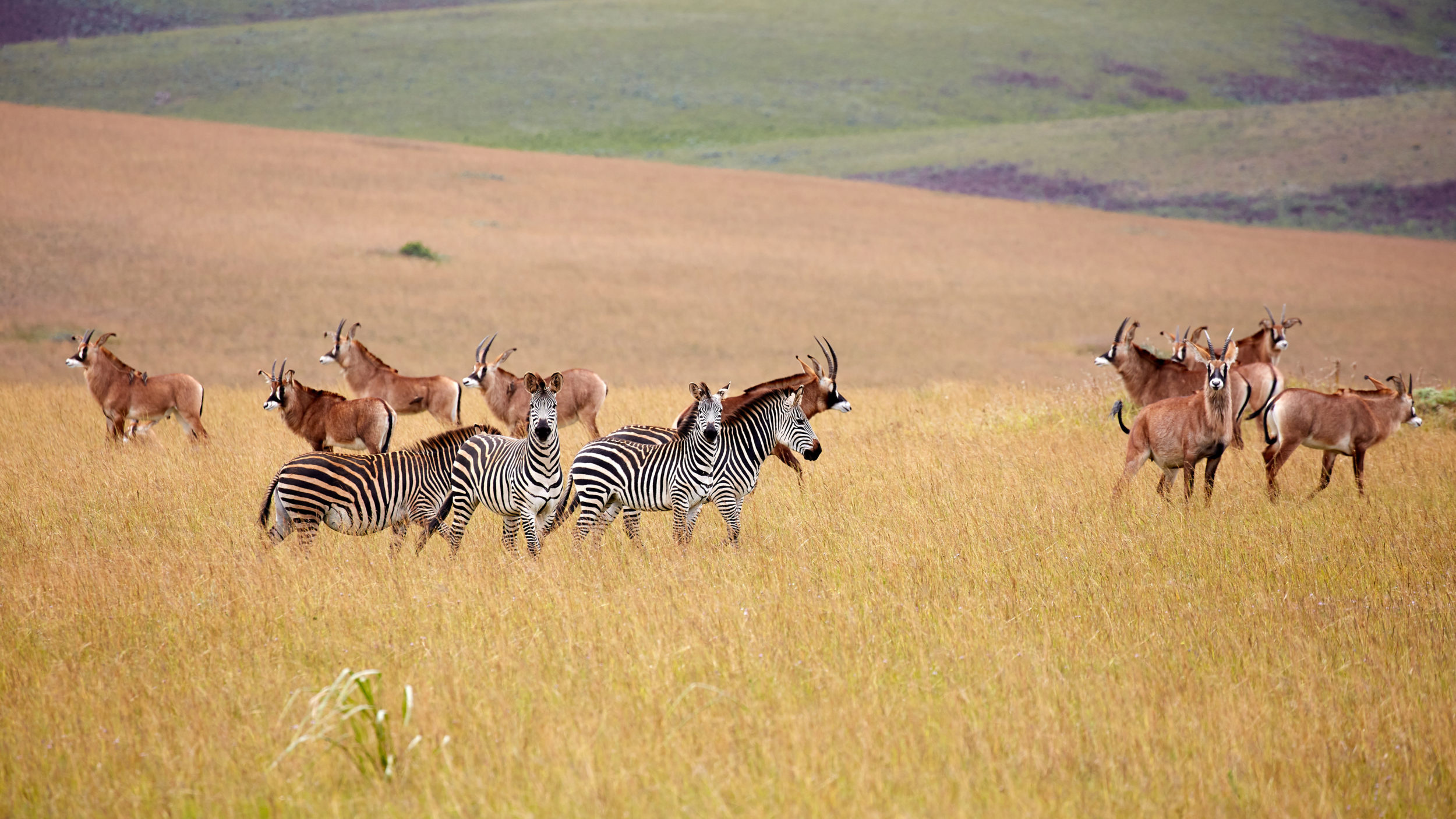 United states department, Malawi travels, 2500x1410 HD Desktop