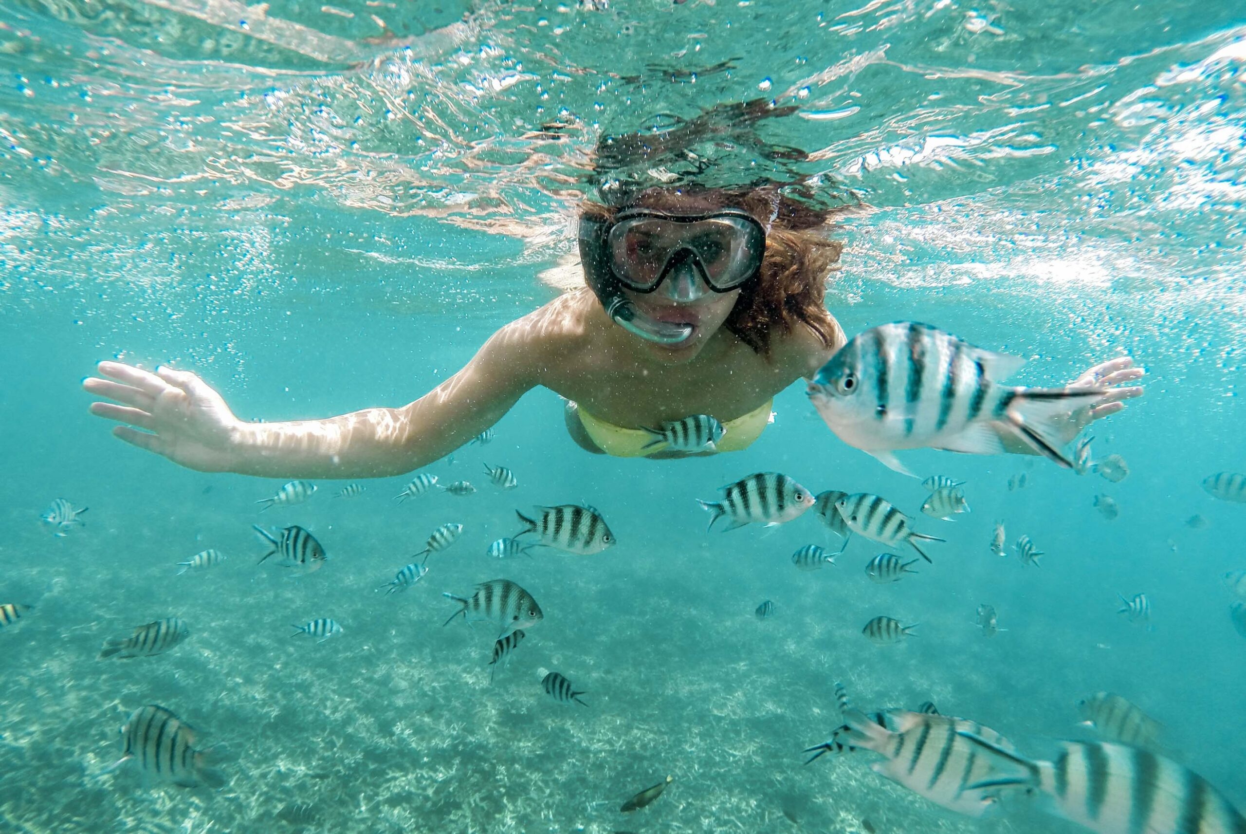 Snorkeling, Mnemba Atoll, Elitevoyage, 2560x1720 HD Desktop