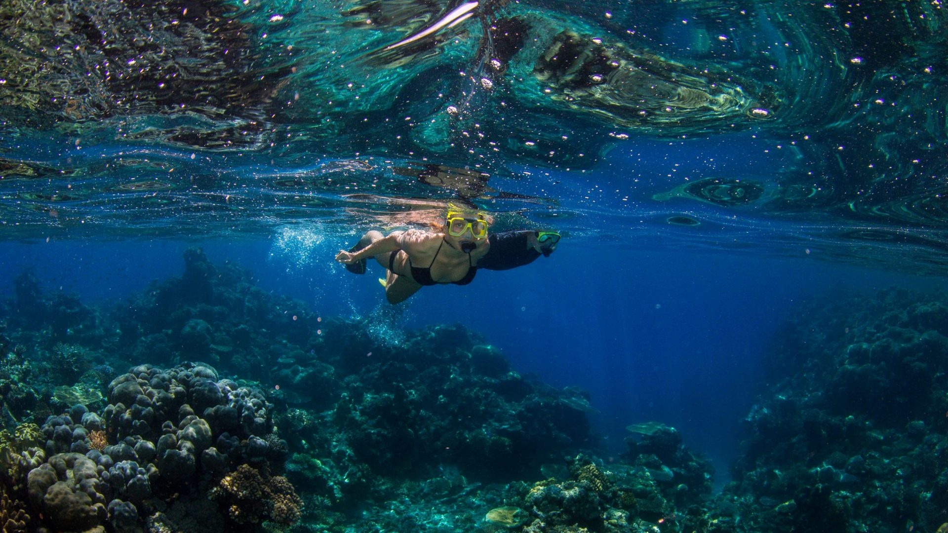 Snorkeling, Great Barrier Reef, Cairns, Reef Encounter, 1920x1080 Full HD Desktop