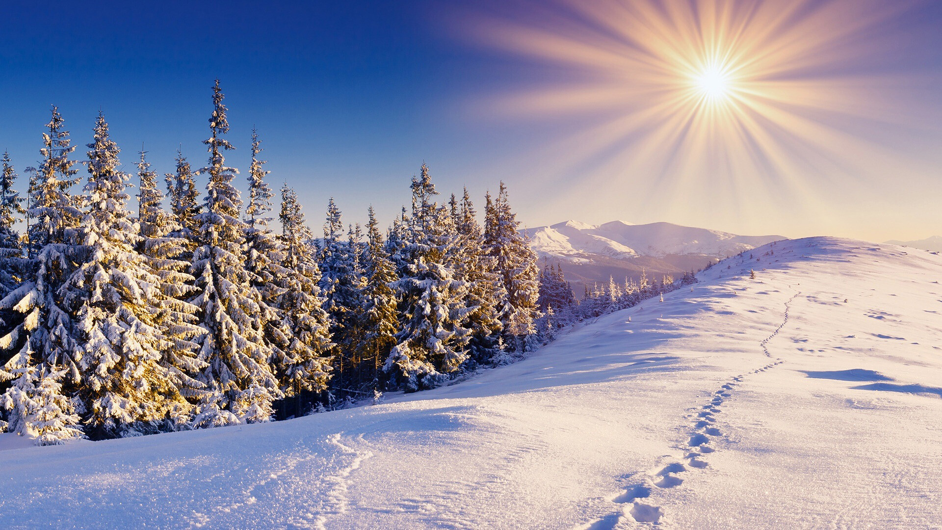 Winter sun, Sun Wallpaper, 1920x1080 Full HD Desktop