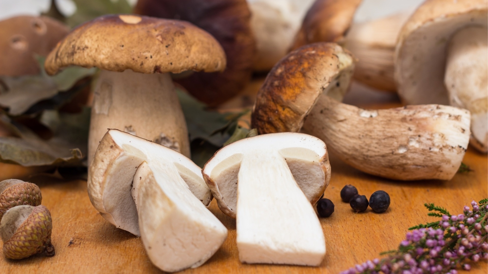 Archaeology of mushrooms, Porcini chefs, Mandala, Culinary exploration, 1920x1080 Full HD Desktop