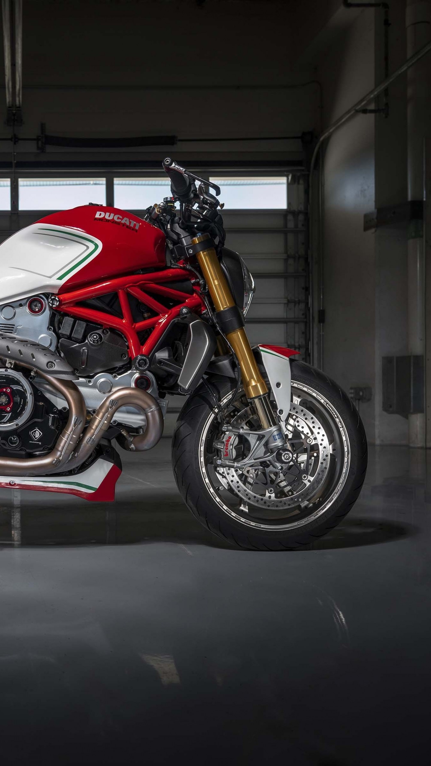 Ducati Monster, Auto model, Impressive wallpaper, Samantha Mercado, 1440x2560 HD Phone