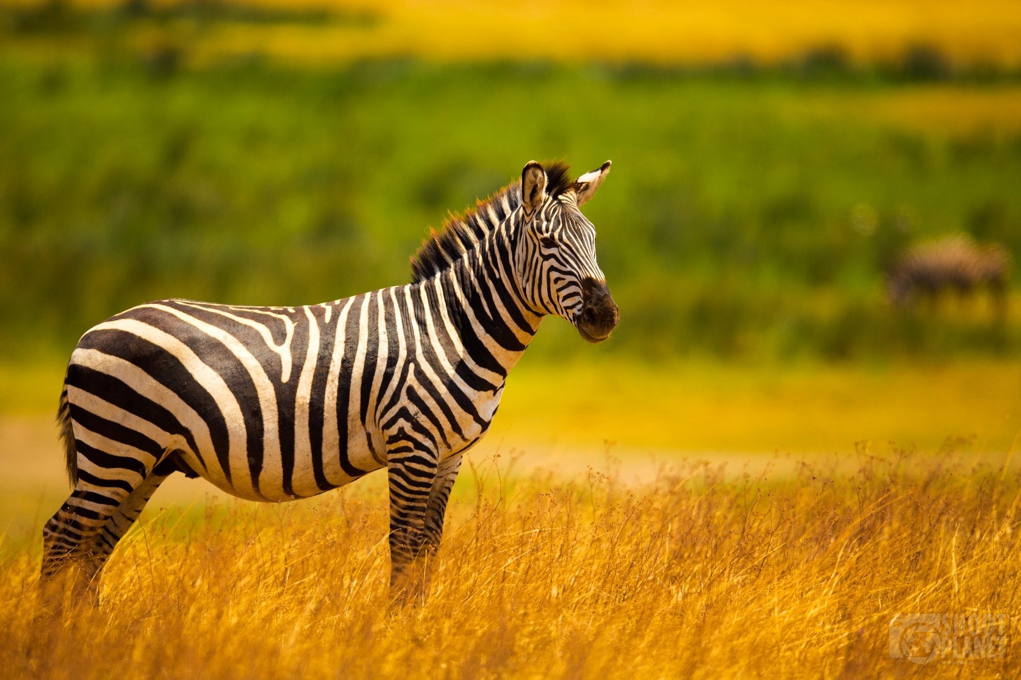 Ngorongoro Crater, Africa's Garden of Eden, 2000x1340 HD Desktop