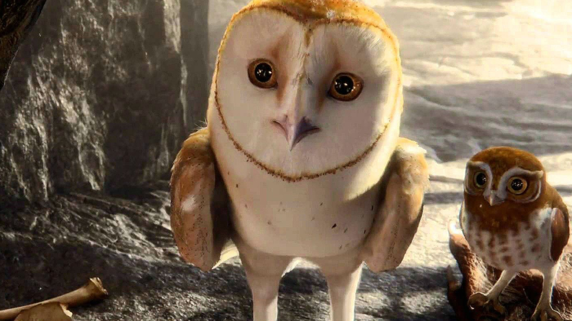 Legend of the Guardians, Animation adventure, Fantasy family film, owls of GaHoole, 1920x1080 Full HD Desktop