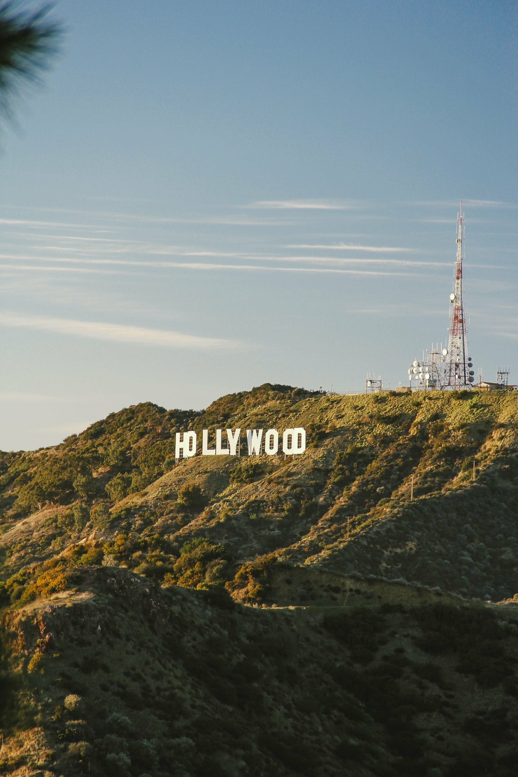 Hollywood Sign, Alexis goes west, Urban exploration, City adventure, 1670x2500 HD Phone