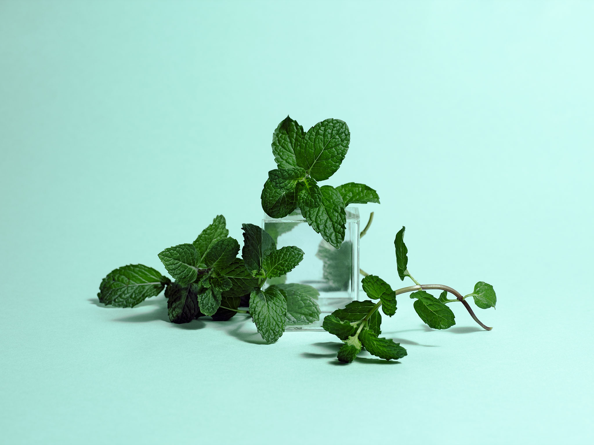 Seasonal mint availability, Buying guide, Proper storage, Culinary uses, 2050x1540 HD Desktop