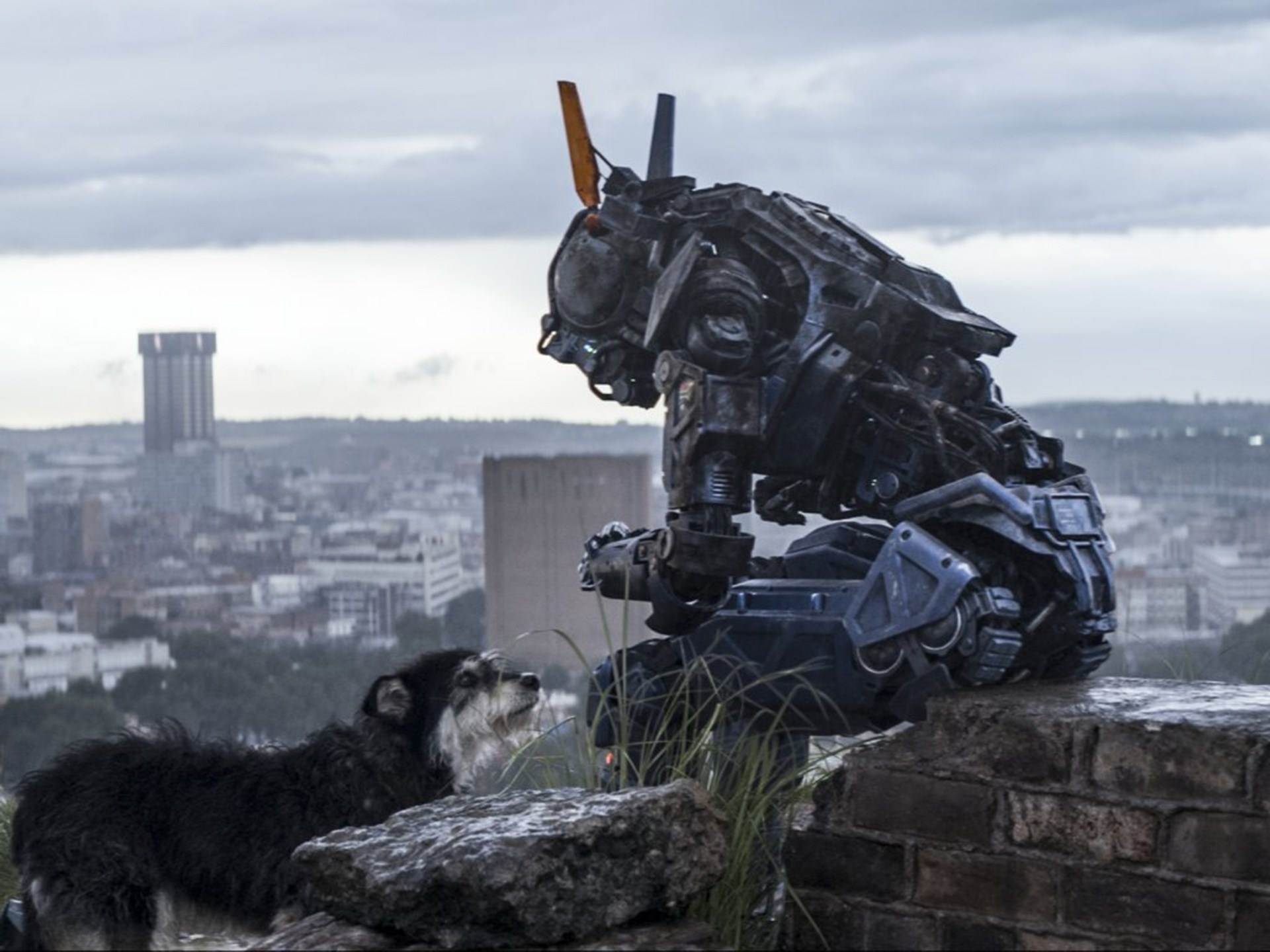 Chappie movie, Ricky's film reviews, Worth watching, 1920x1440 HD Desktop