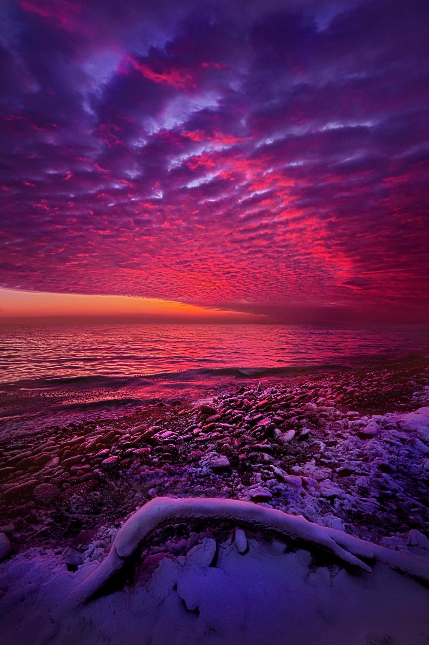 snow-covered driftwood, magenta altocumulus sky, icy pebble beach, HD Phone wallpaper
