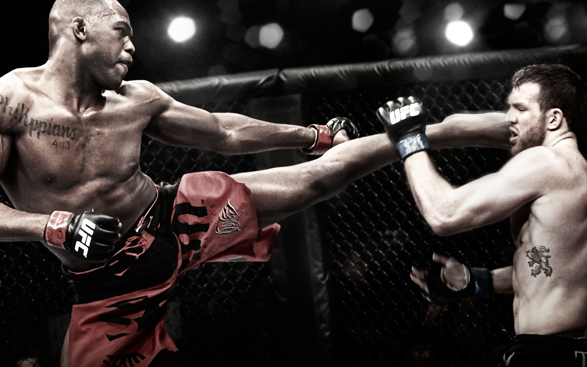 MMA martial arts muscle, Fight wrestler, Combat sport, Striking combat sports, 1920x1200 HD Desktop