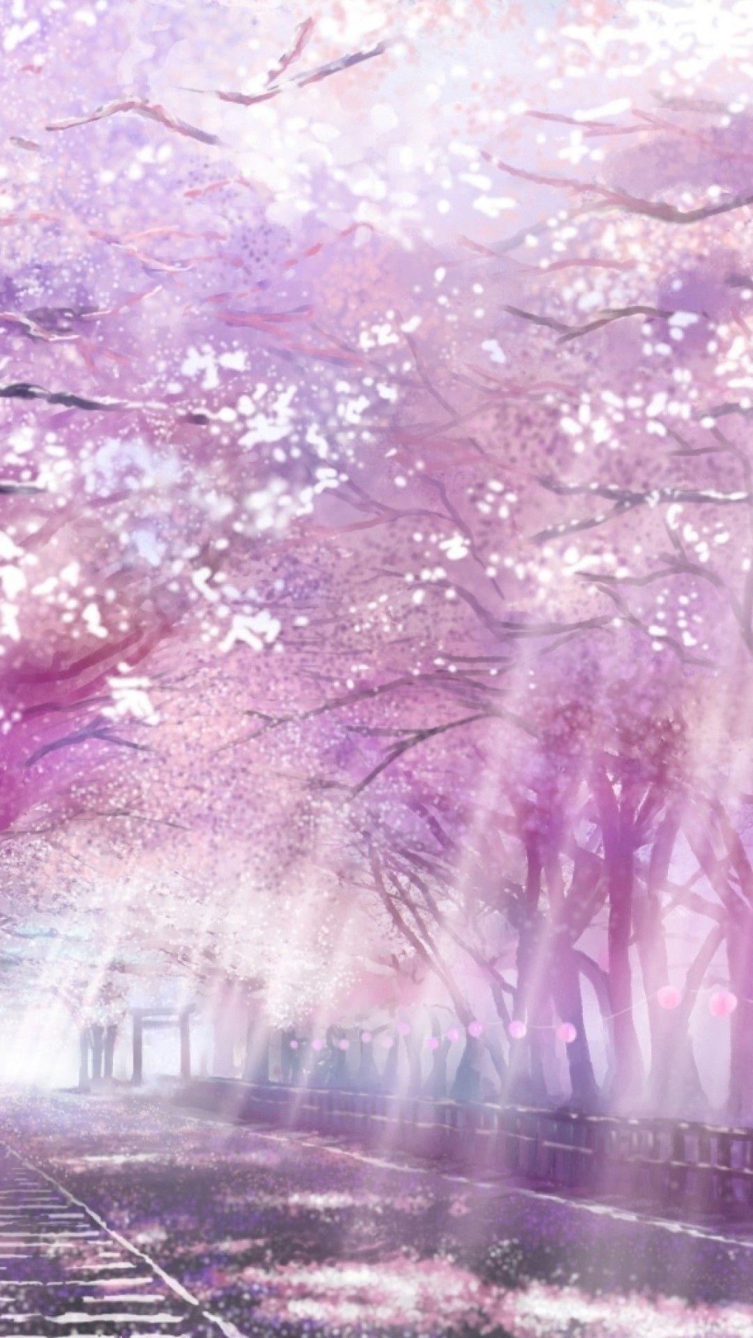 Blooming cherry blossom canopy, Sunbeams through tree branches, Railway track along fence, Full HD Phone wallpaper