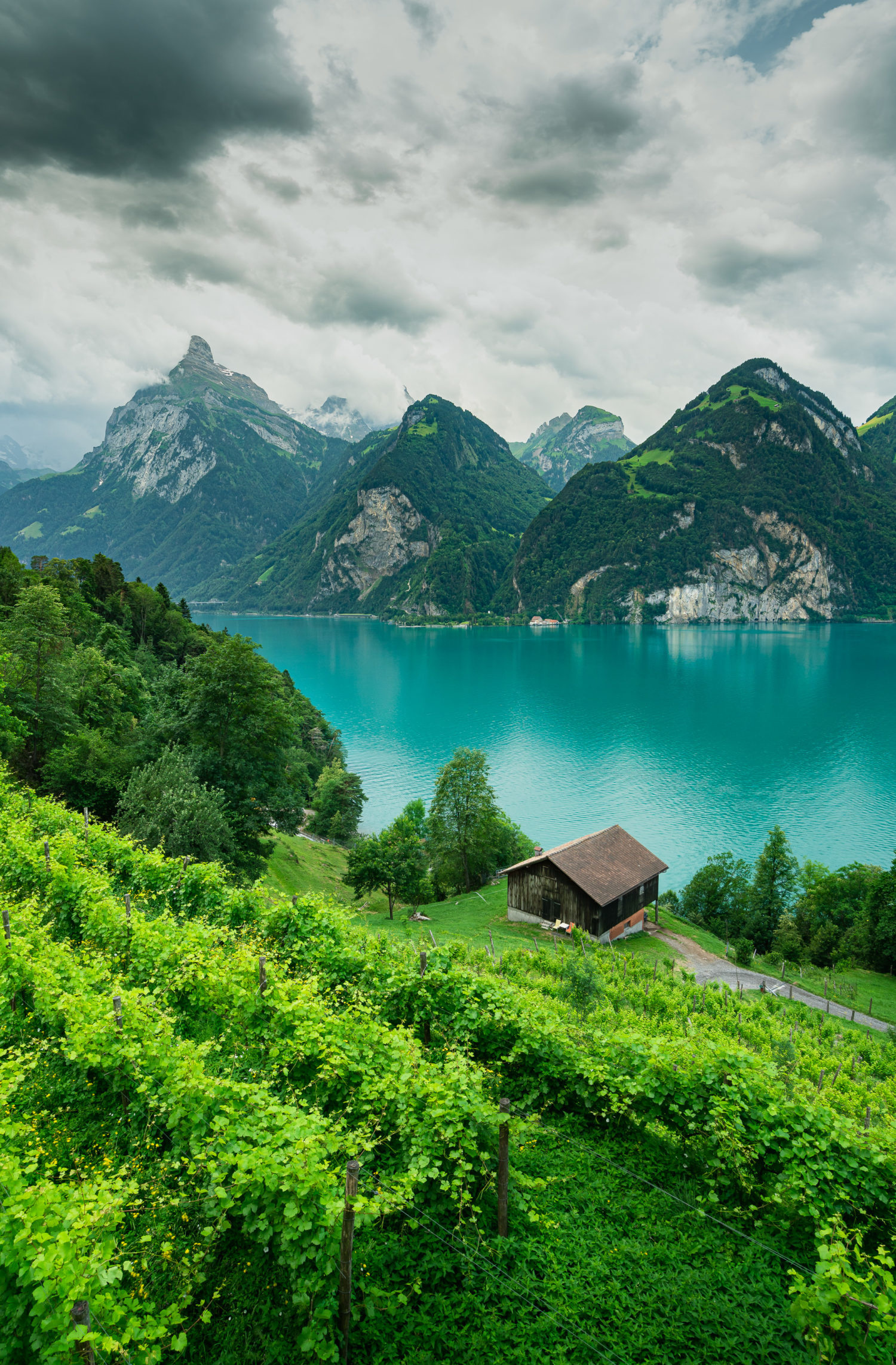 Lake Lucerne, Swiss Alps peaks, Hillside vineyard chalet, HD Phone wallpaper
