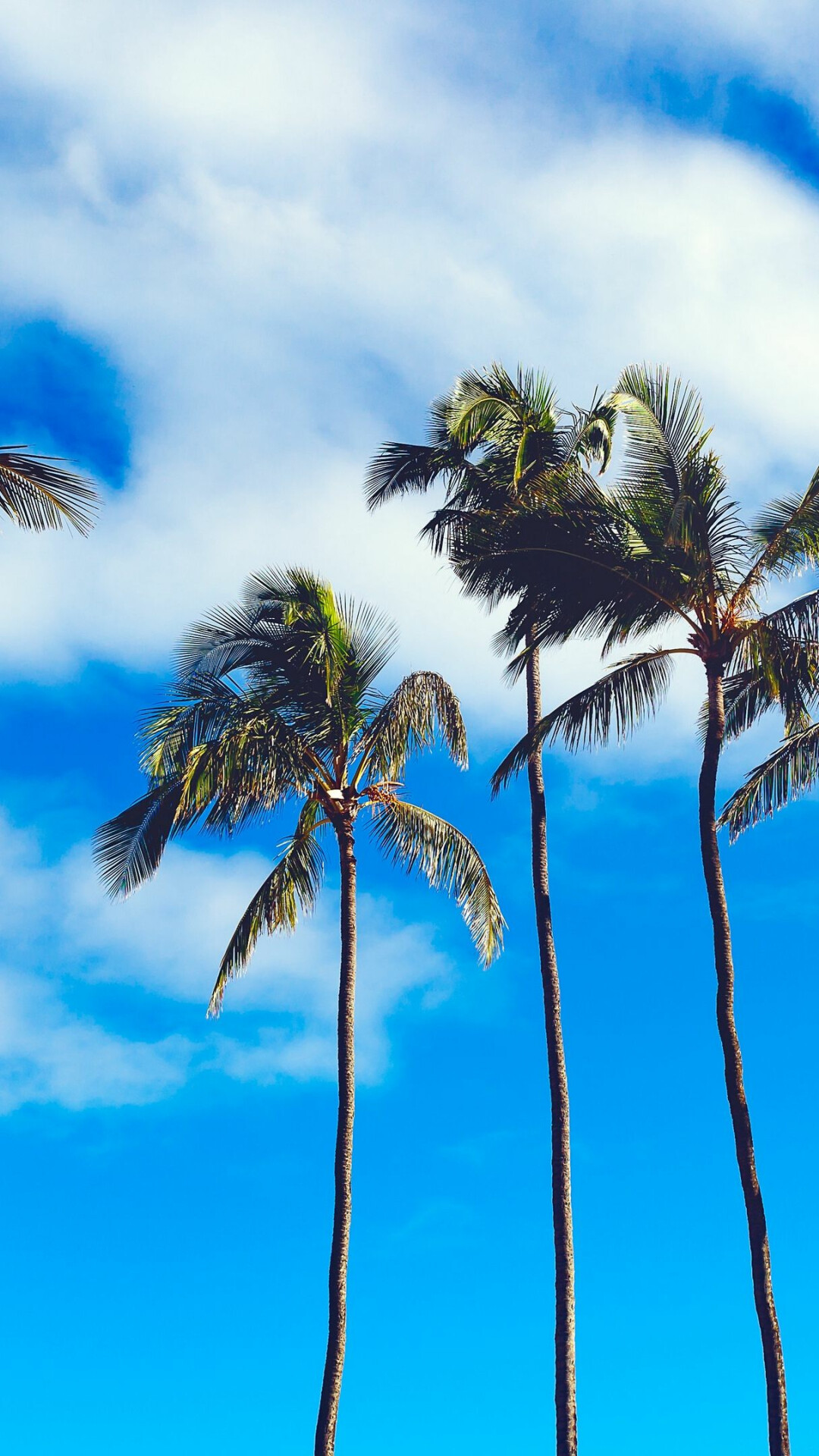 Pinimg original, Tropical paradise, 1080x1920 Full HD Phone