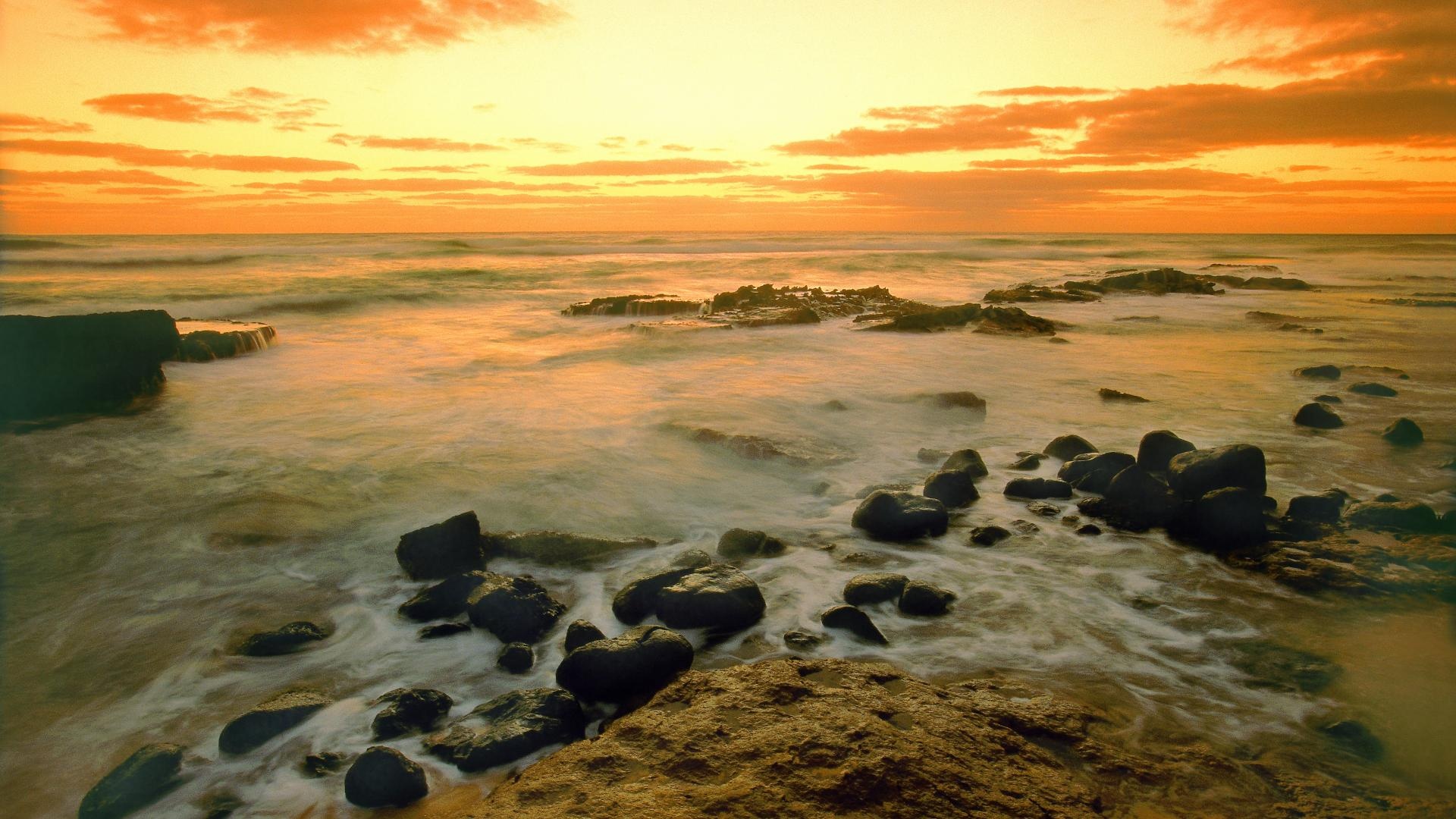 Seascape travels, Hawaiian background art, Vector nature, Tropical beauty, 1920x1080 Full HD Desktop
