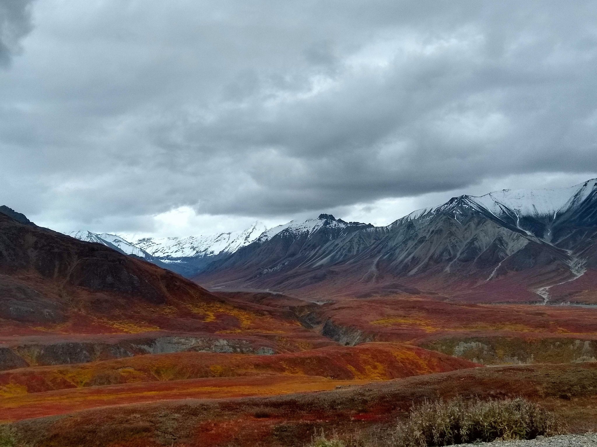 Denali National Park, Preserve, Road lottery, Trip planner, 2050x1540 HD Desktop