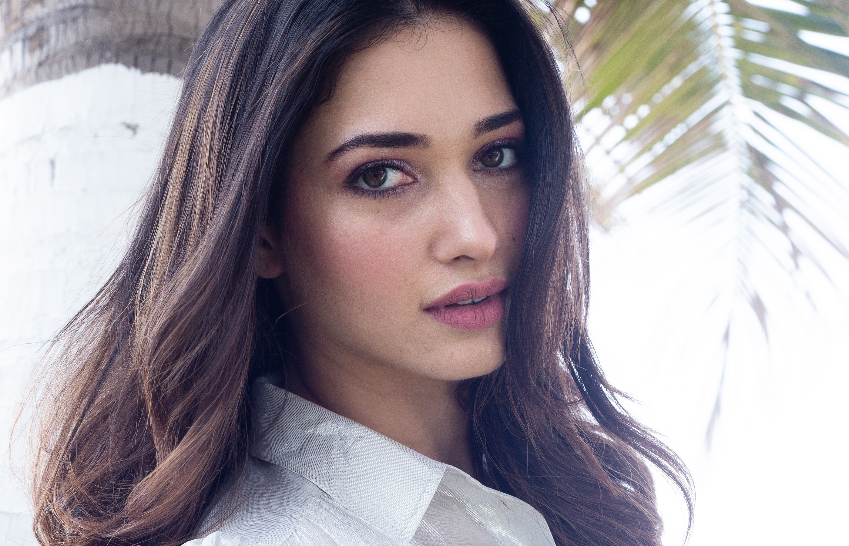 Tamannaah Bhatia, Loose wavy brunette hair, White collared shirt, HD Desktop wallpaper