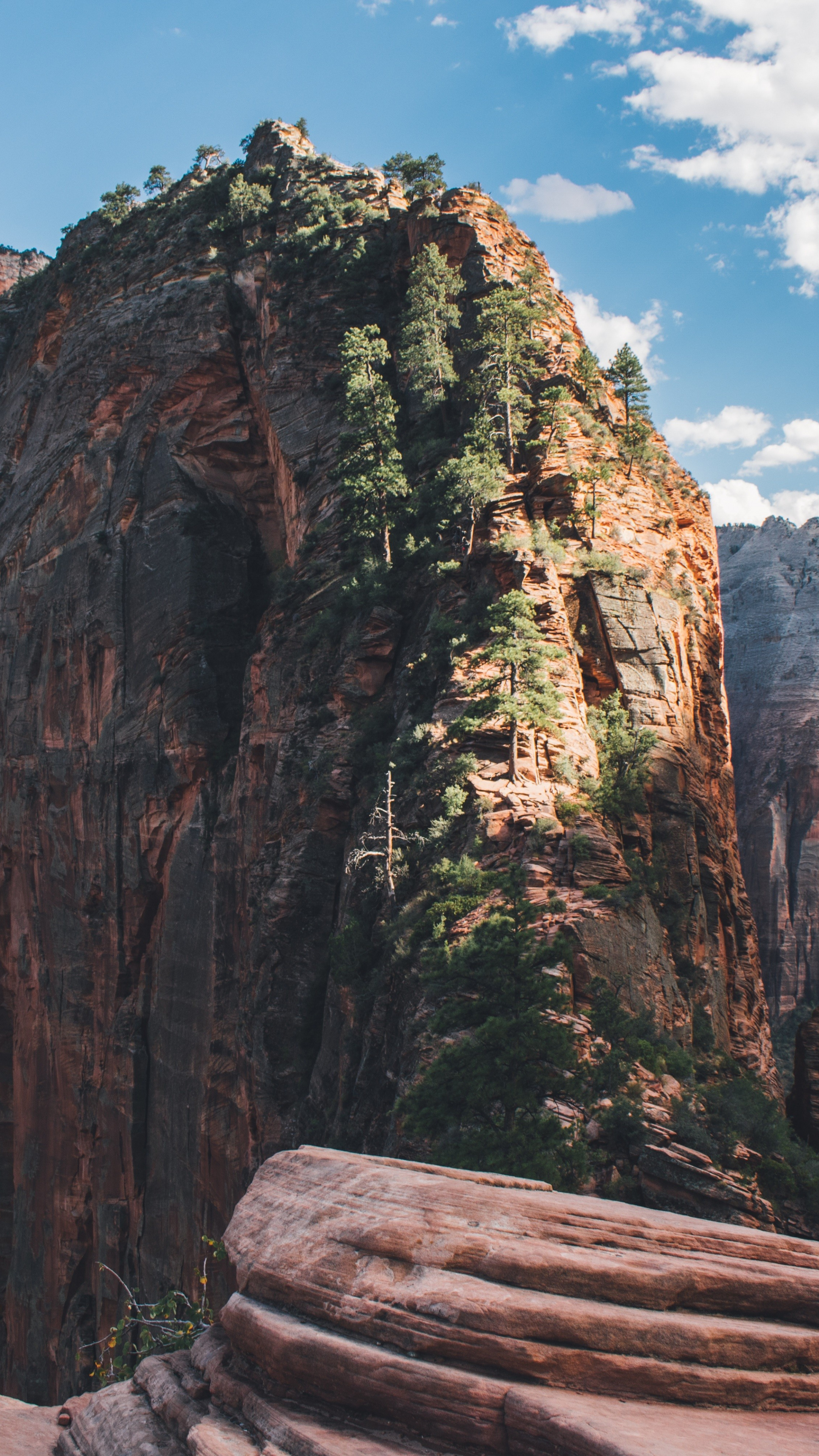 Zion National Park, Majestic landscapes, Natural wonders, Outdoor exploration, 2160x3840 4K Phone