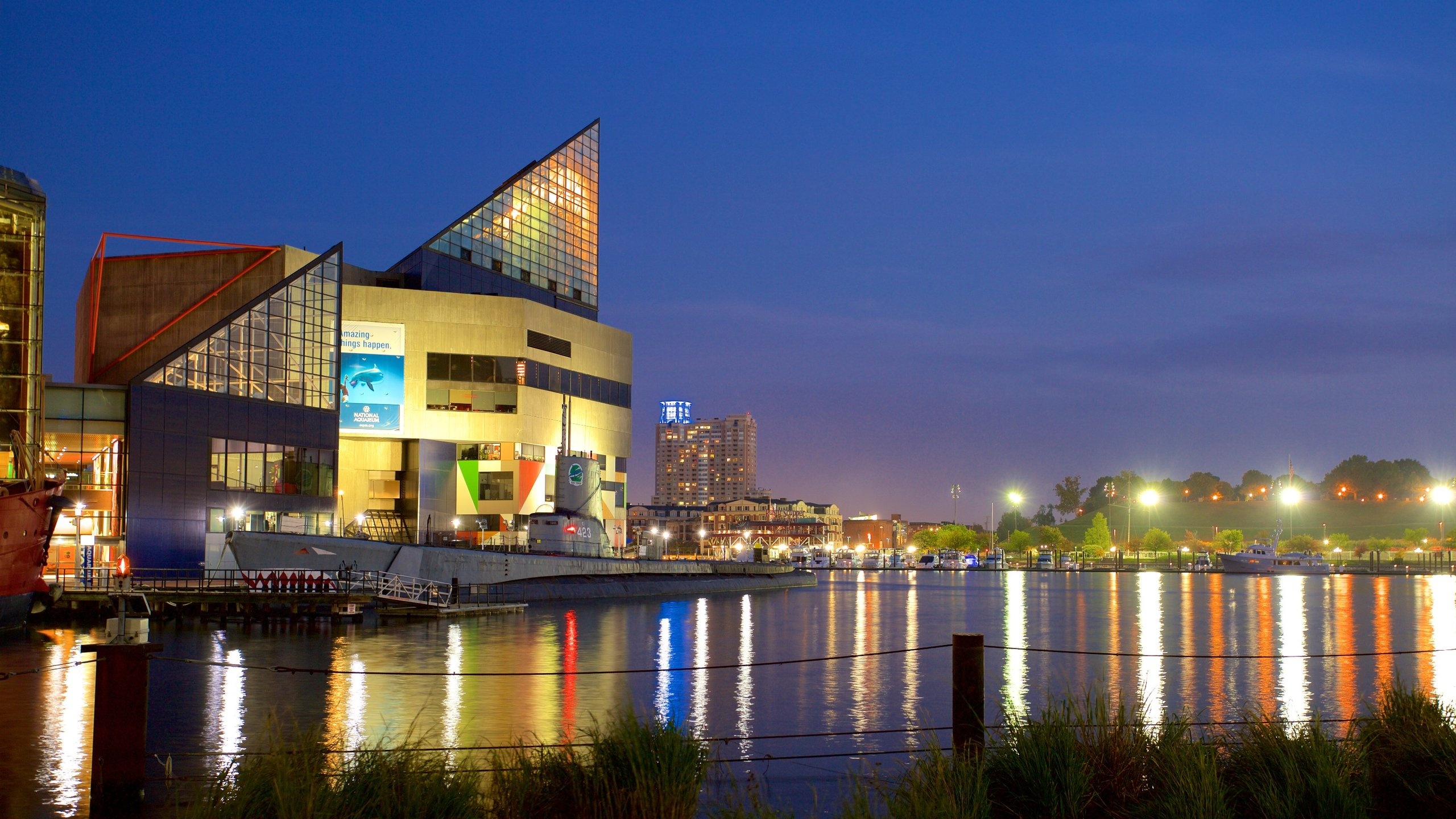 National Aquarium, Baltimore vacation rentals, VRBO, 2560x1440 HD Desktop