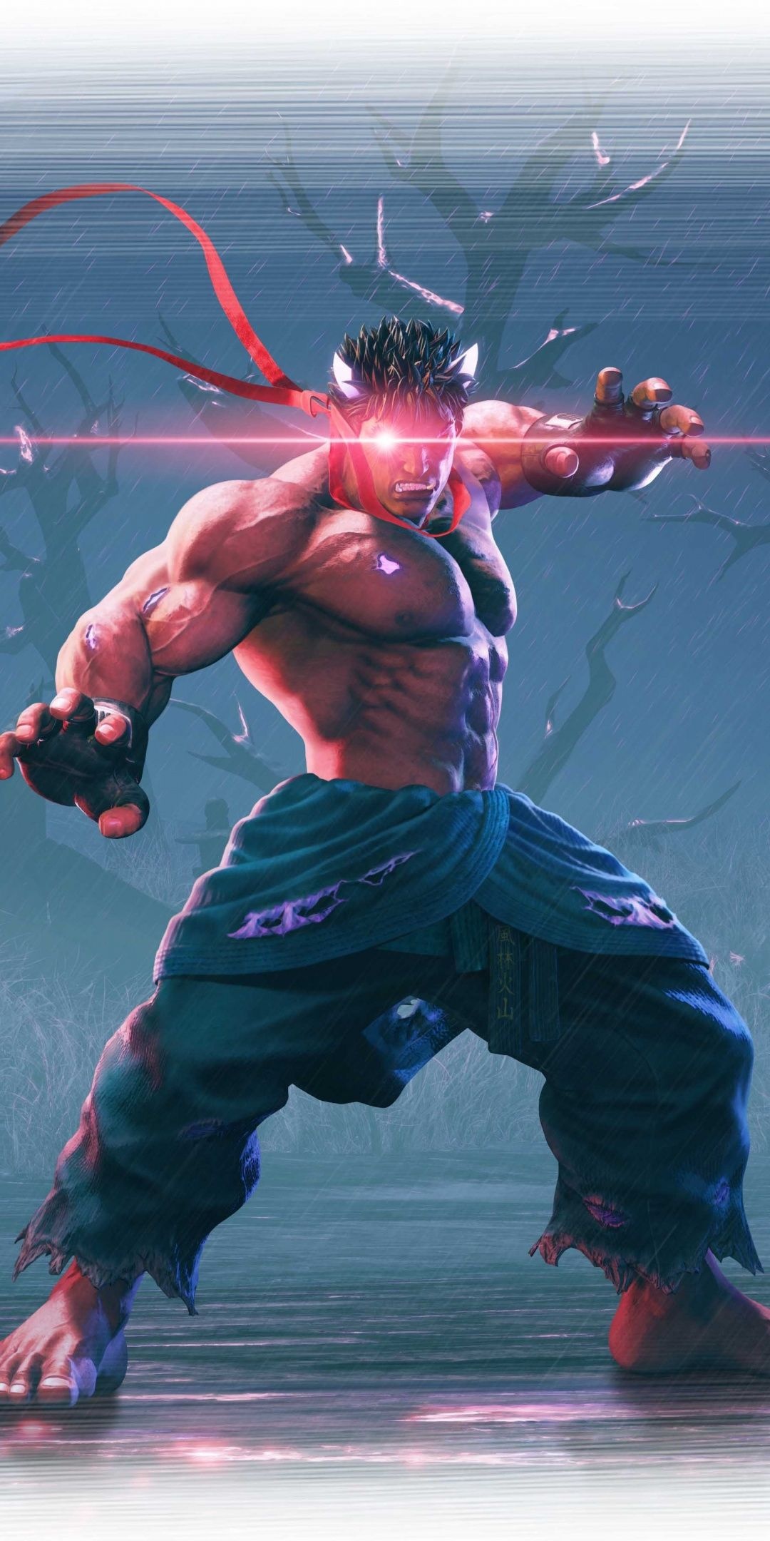 Street Fighter V Arcade Edition, Legendary fighting franchise, Classic characters, Intense battles, 1080x2160 HD Phone