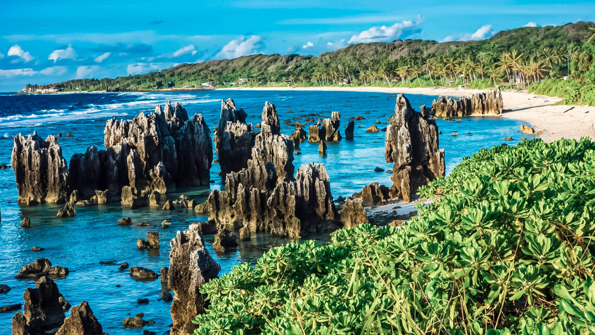 Money & Shopping Nauru, Currency exchange, Retail therapy, Local products, 1920x1080 Full HD Desktop