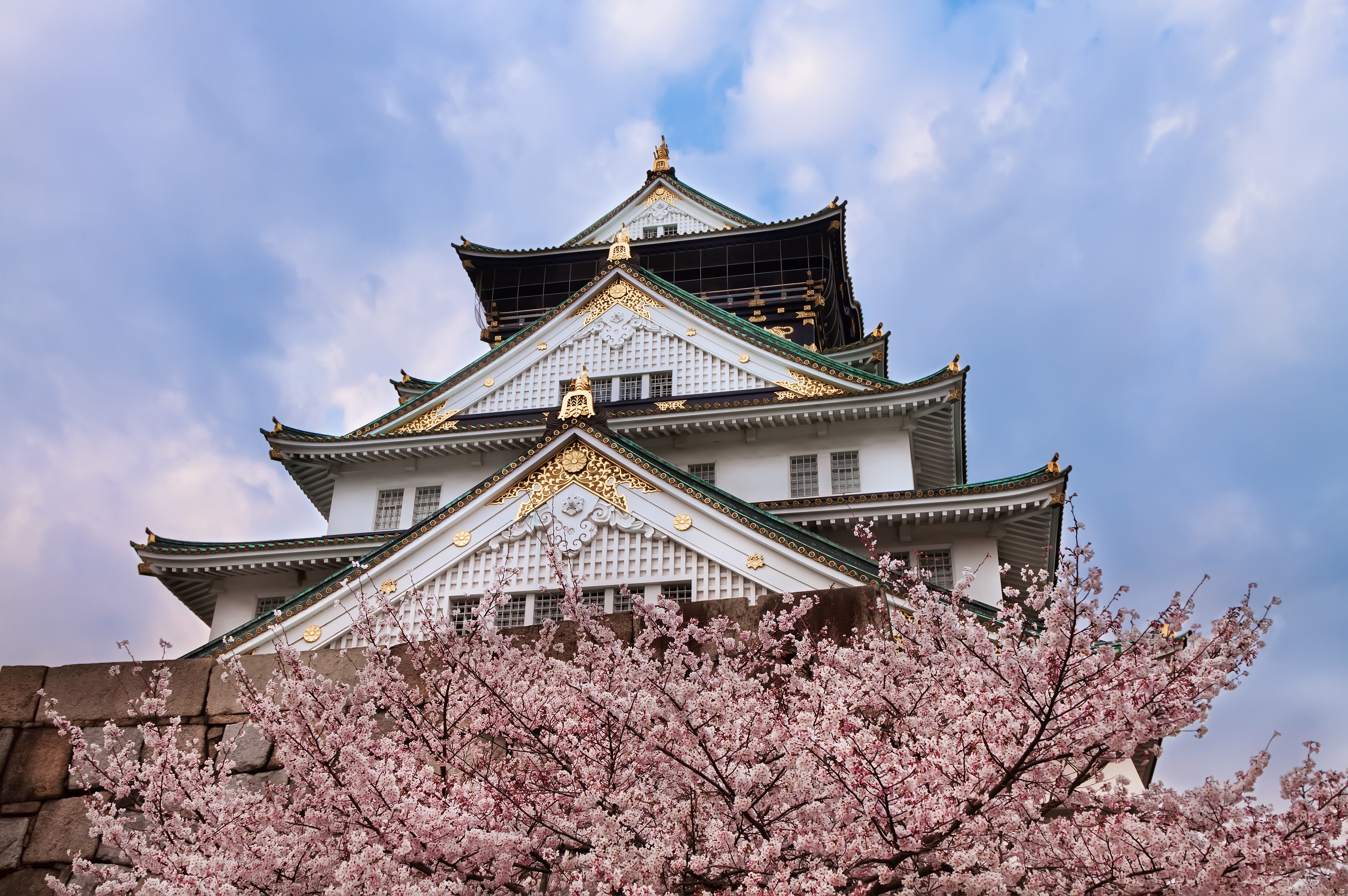 Osaka Castle keep, Osaka, Cherry blossom foreground, Blue spring sky, 4K Desktop wallpaper