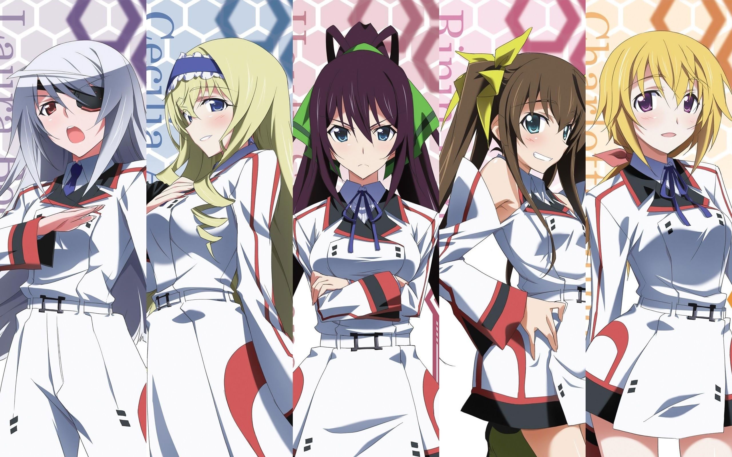 Infinite Stratos, Anime, Pin, 2560x1600 HD Desktop