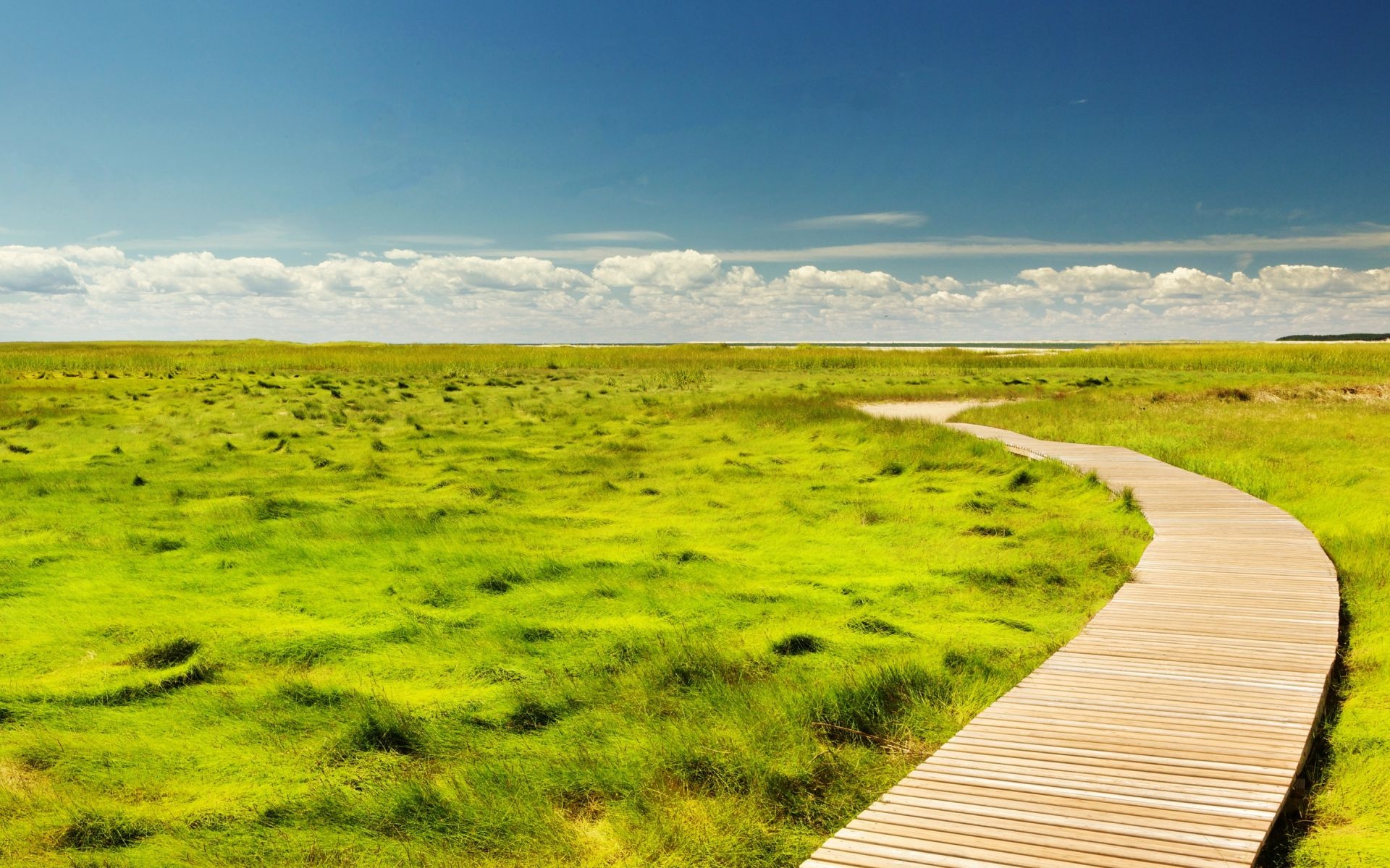 curving wooden boardwalk, green coastal marshland, sunny blue summer sky, HD Desktop wallpaper