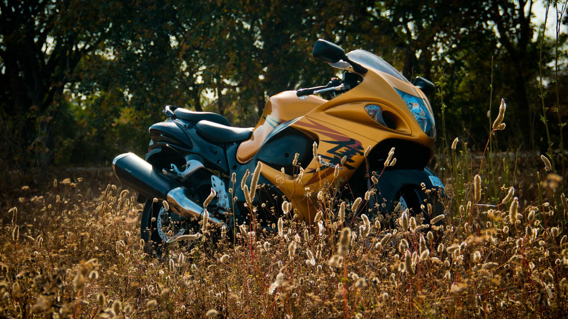 Bike wallpaper, Hayabusa motorbike, Supercharged speed, Wallpaper perfection, 1920x1080 Full HD Desktop