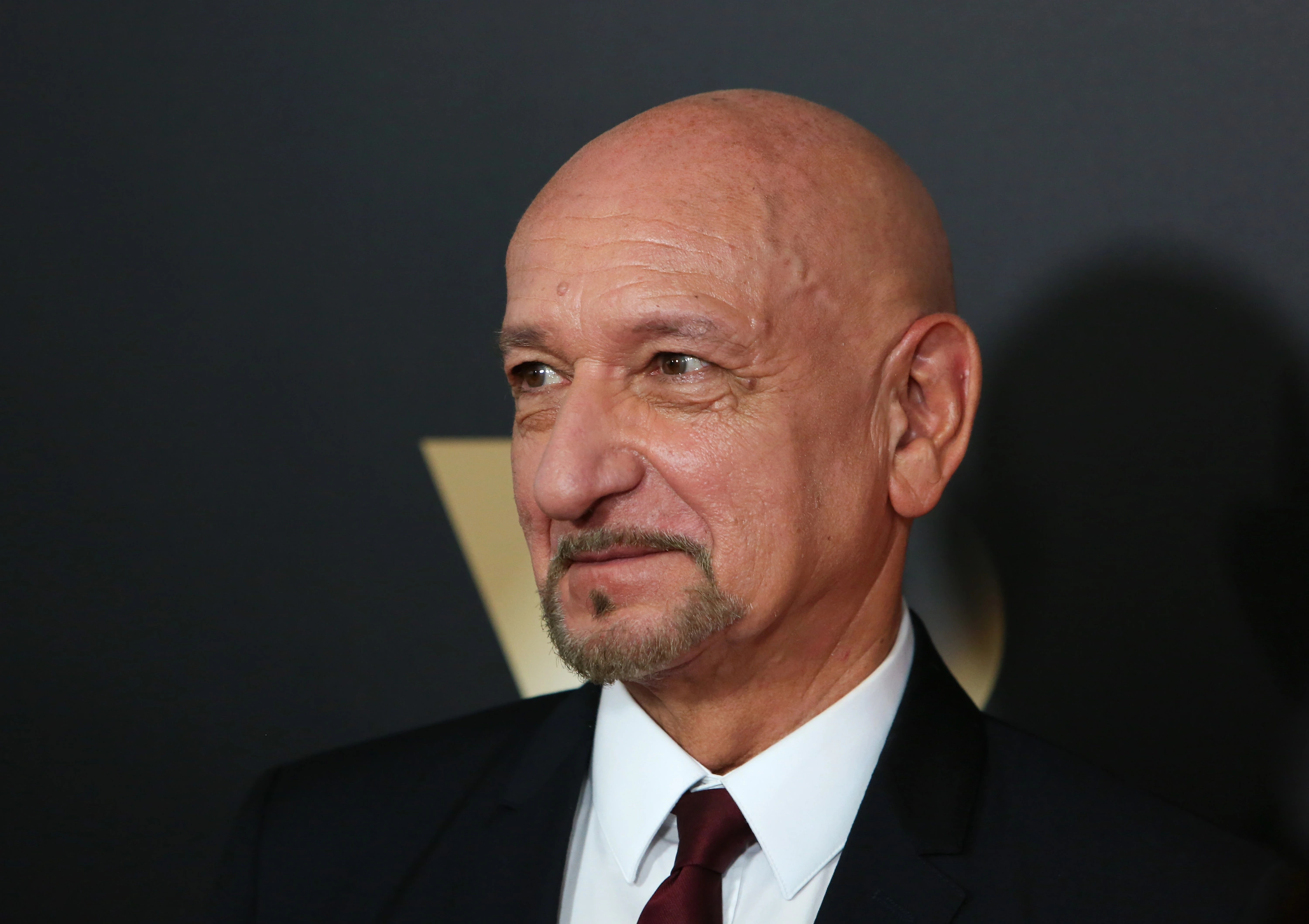 Ben Kingsley, Intrigo trilogy, Cannes, 3000x2120 HD Desktop