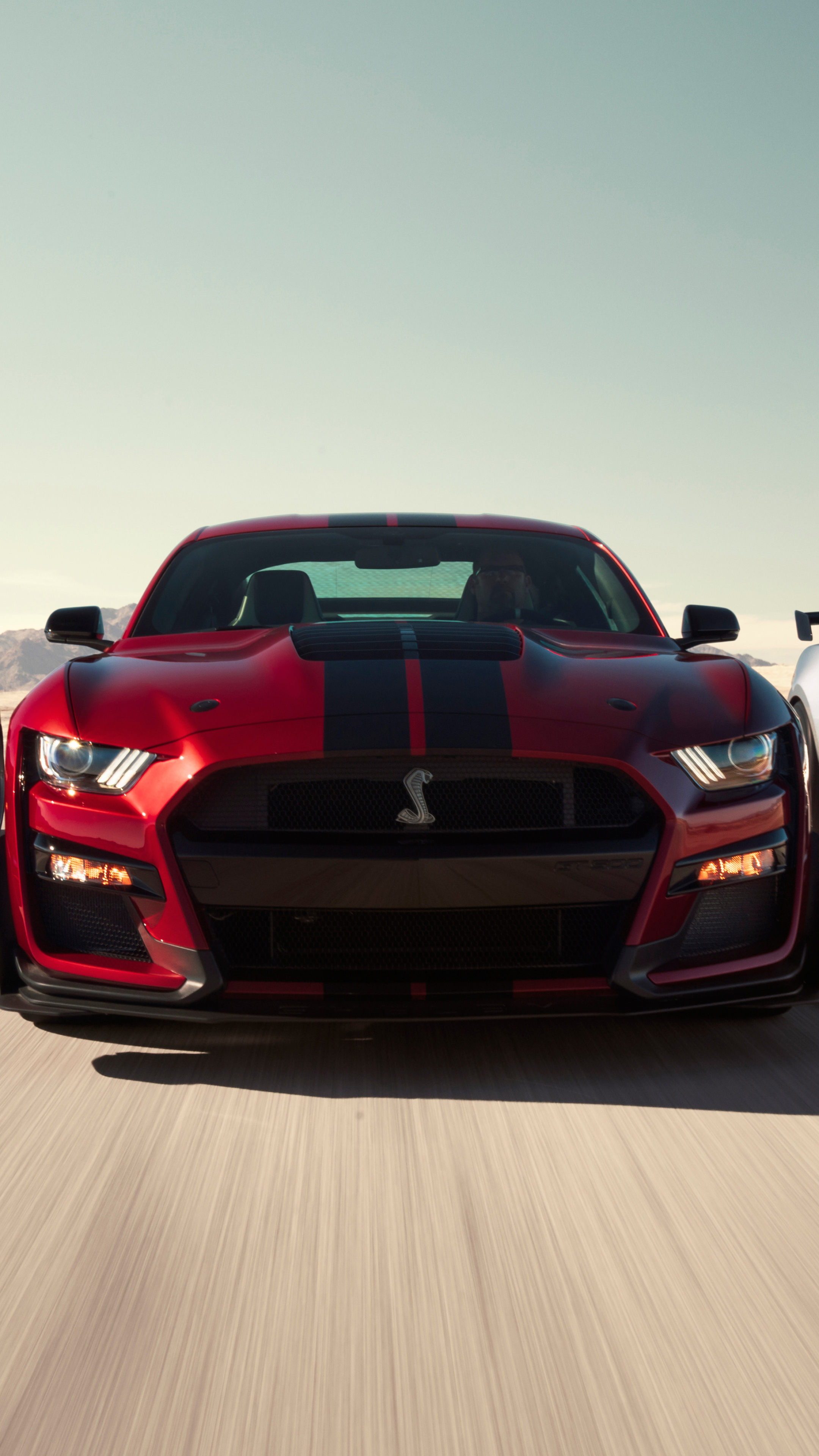 Shelby Front View, GT500 Wallpaper, 2160x3840 4K Phone