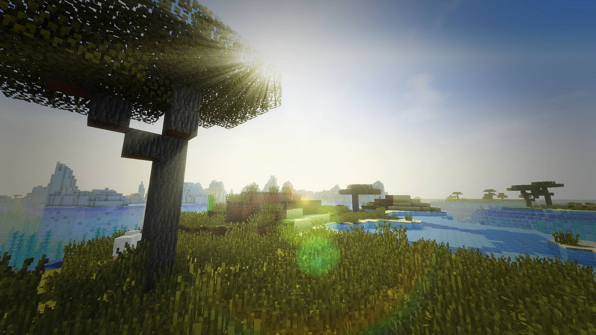 Minecraft acacia tree, Minecraft savanna biome, Minecraft shader sunbeams, Full HD Desktop wallpaper