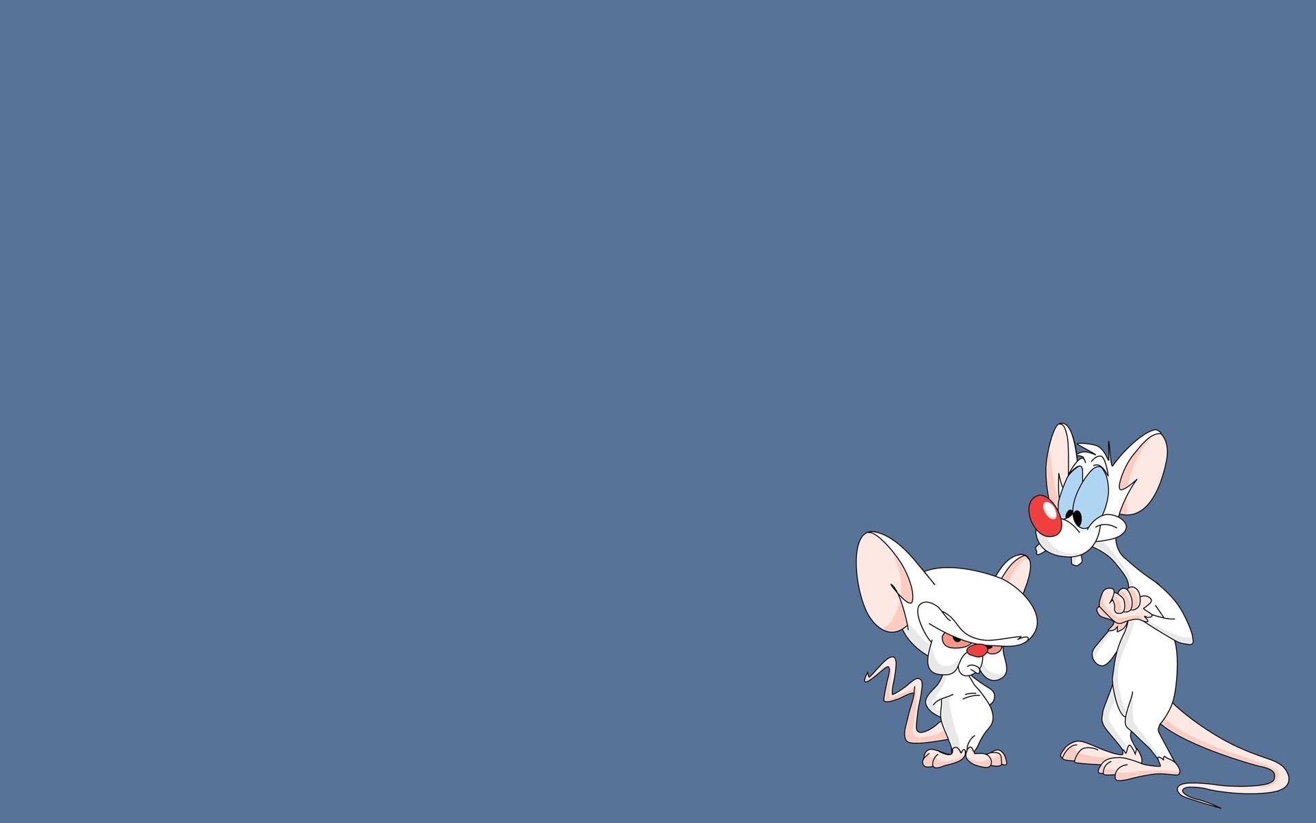 Pinky and the Brain animation, HD wallpaper, Cartoons, Classic duo, 1920x1200 HD Desktop