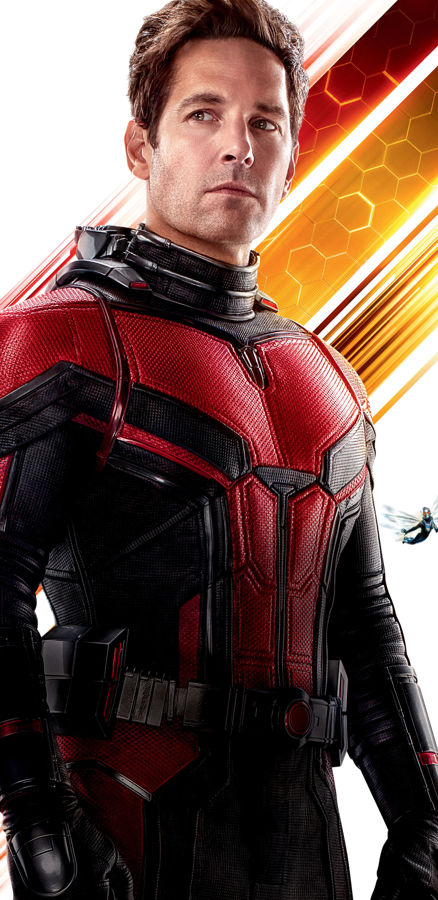 Paul Rudd, Movies, Ant-Man and the Wasp, Samsung Galaxy, 1440x2960 HD Phone